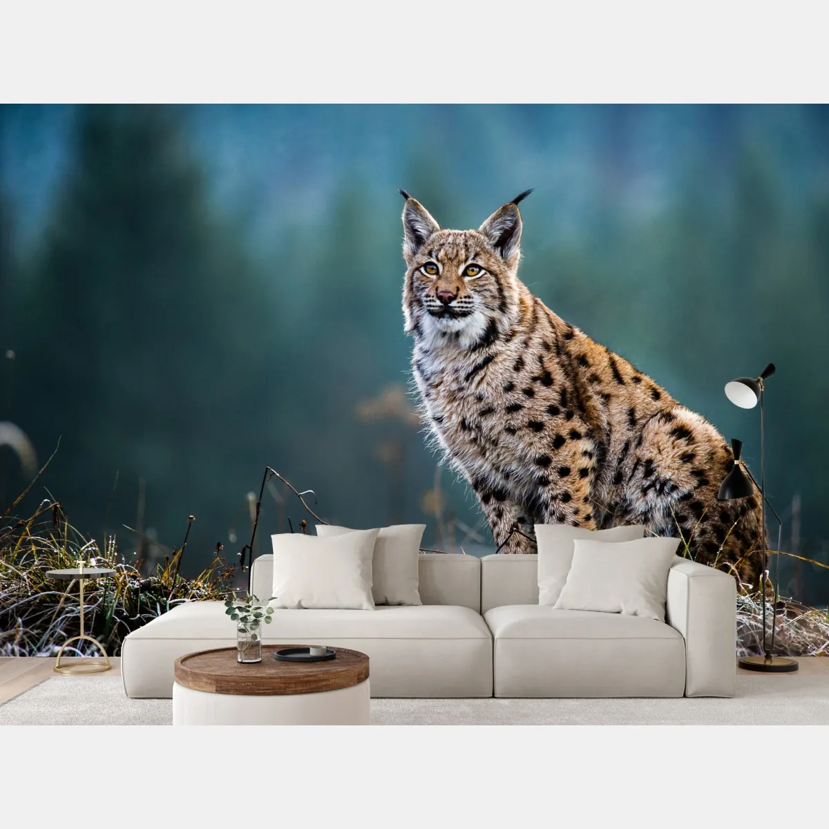 Fototapete majestätischer luchs in natürlichem habitat – Wallnifity®