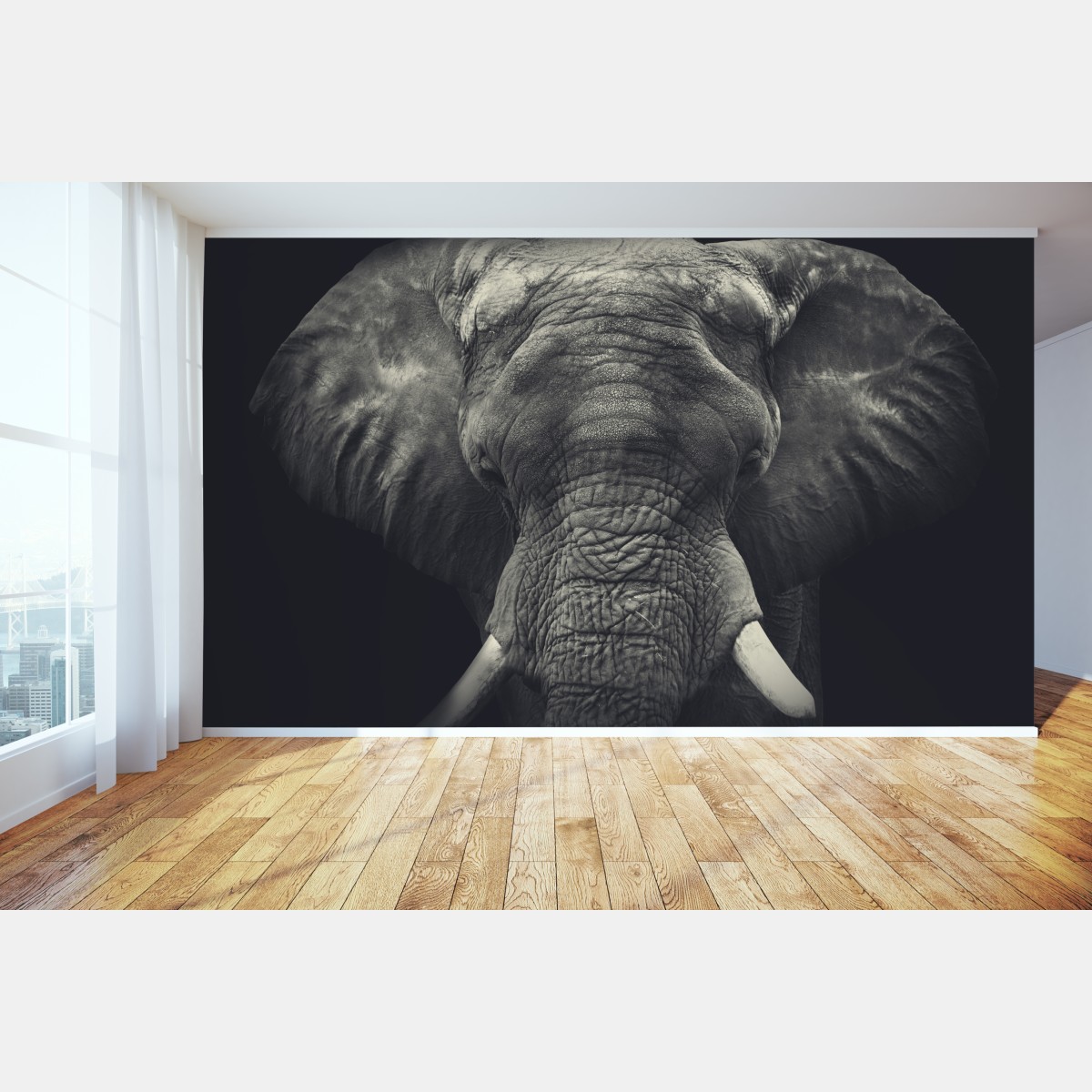 Fototapete majestätisches elefantenportrait in monochrom – Wallnifity®