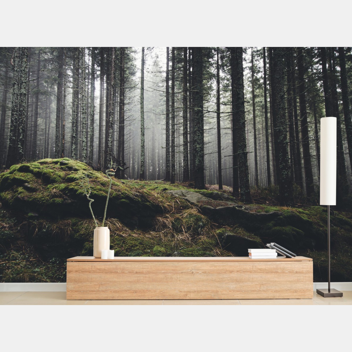 Fototapete nebliger moosbedeckter wald – Wallnifity®