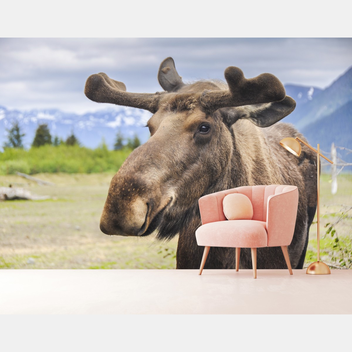 Fototapete majestätisches elchporträt in freier natur – Wallnifity®