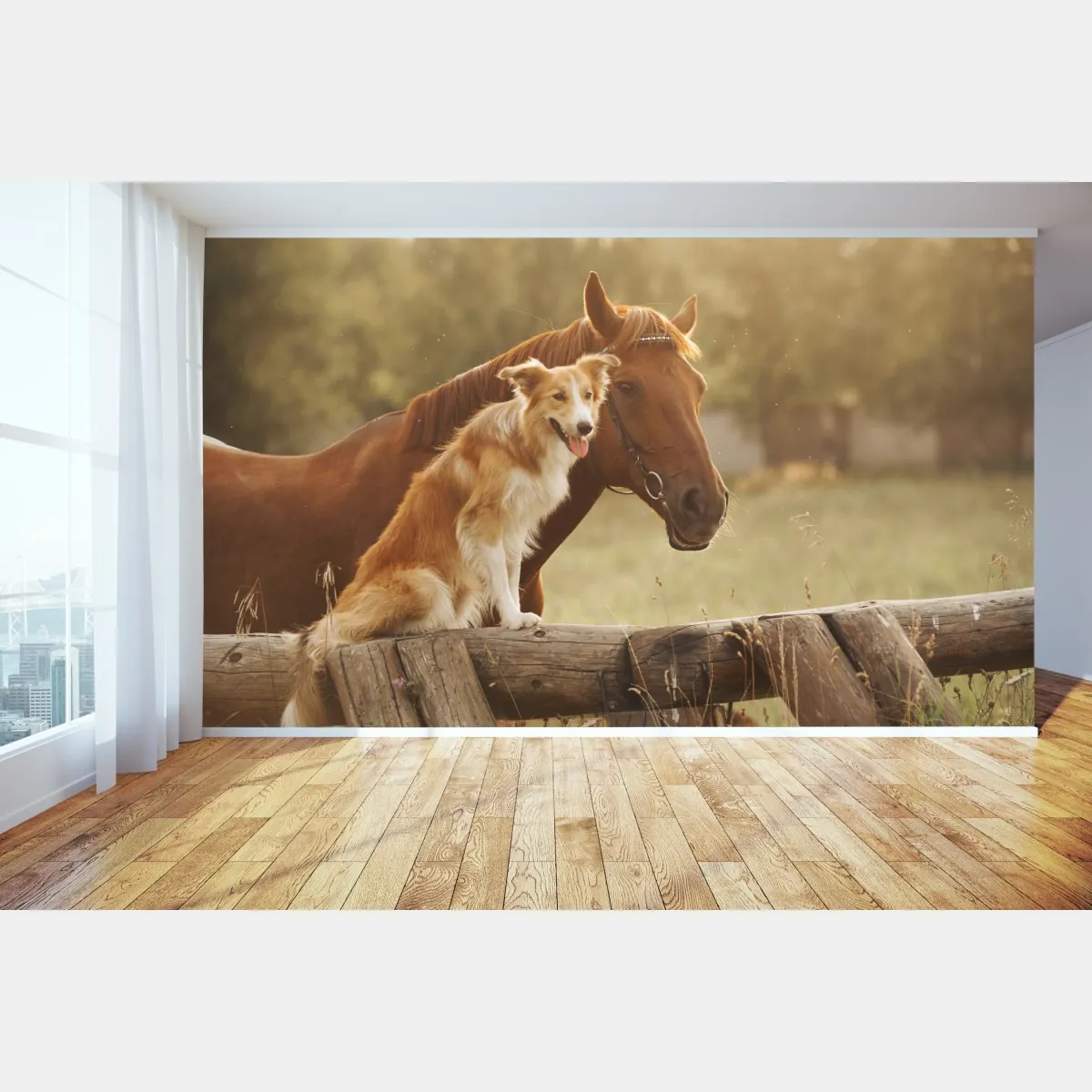Fototapete sonnige gefährten: hund und pferd – Wallnifity®