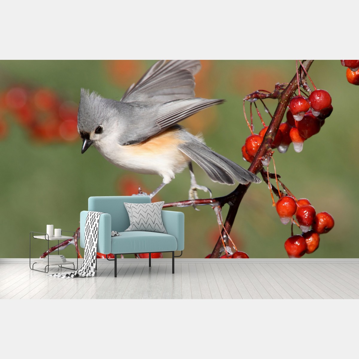 Fototapete grauer vogel auf roten beeren – Wallnifity®