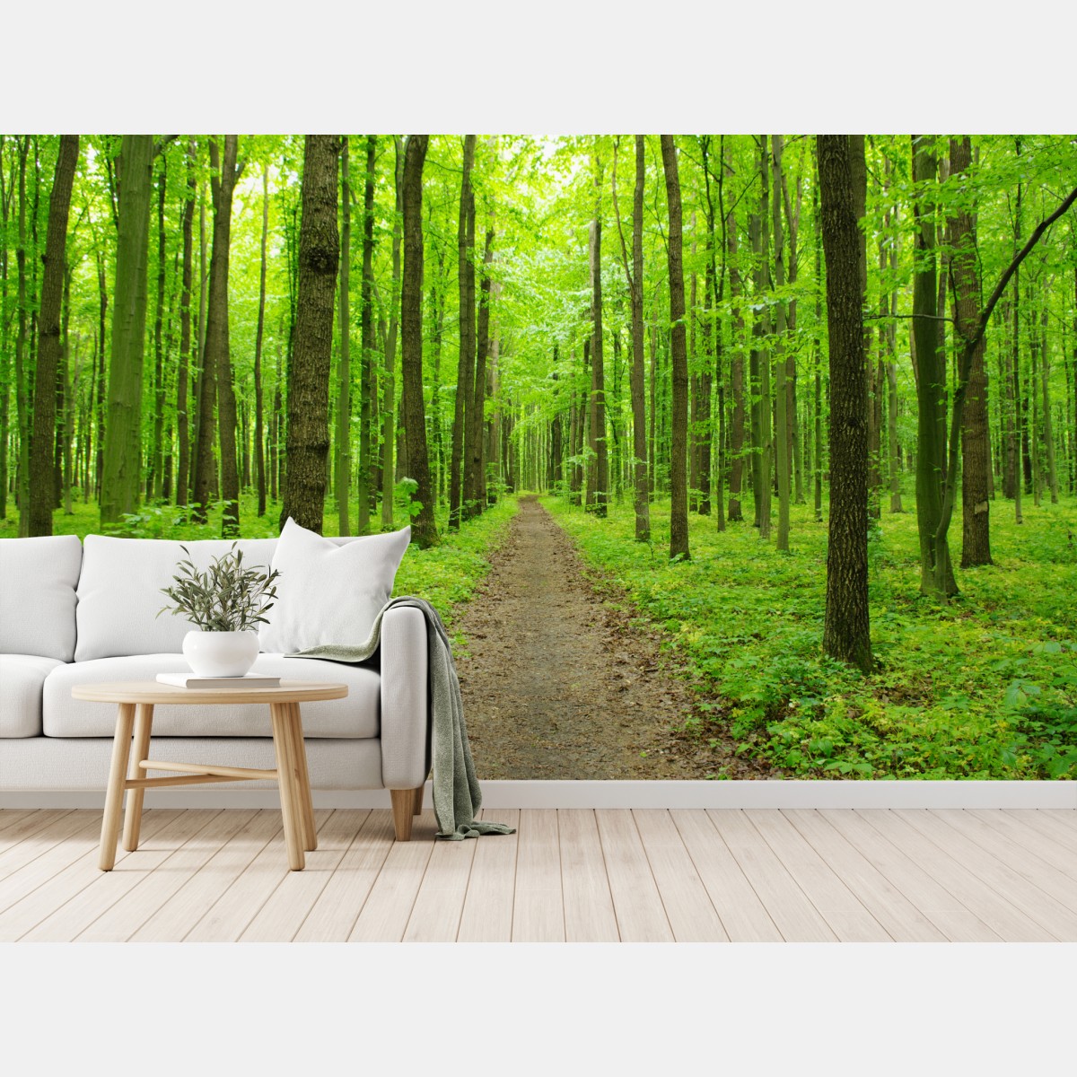Fototapete ruhiger grüner waldweg – Wallnifity®