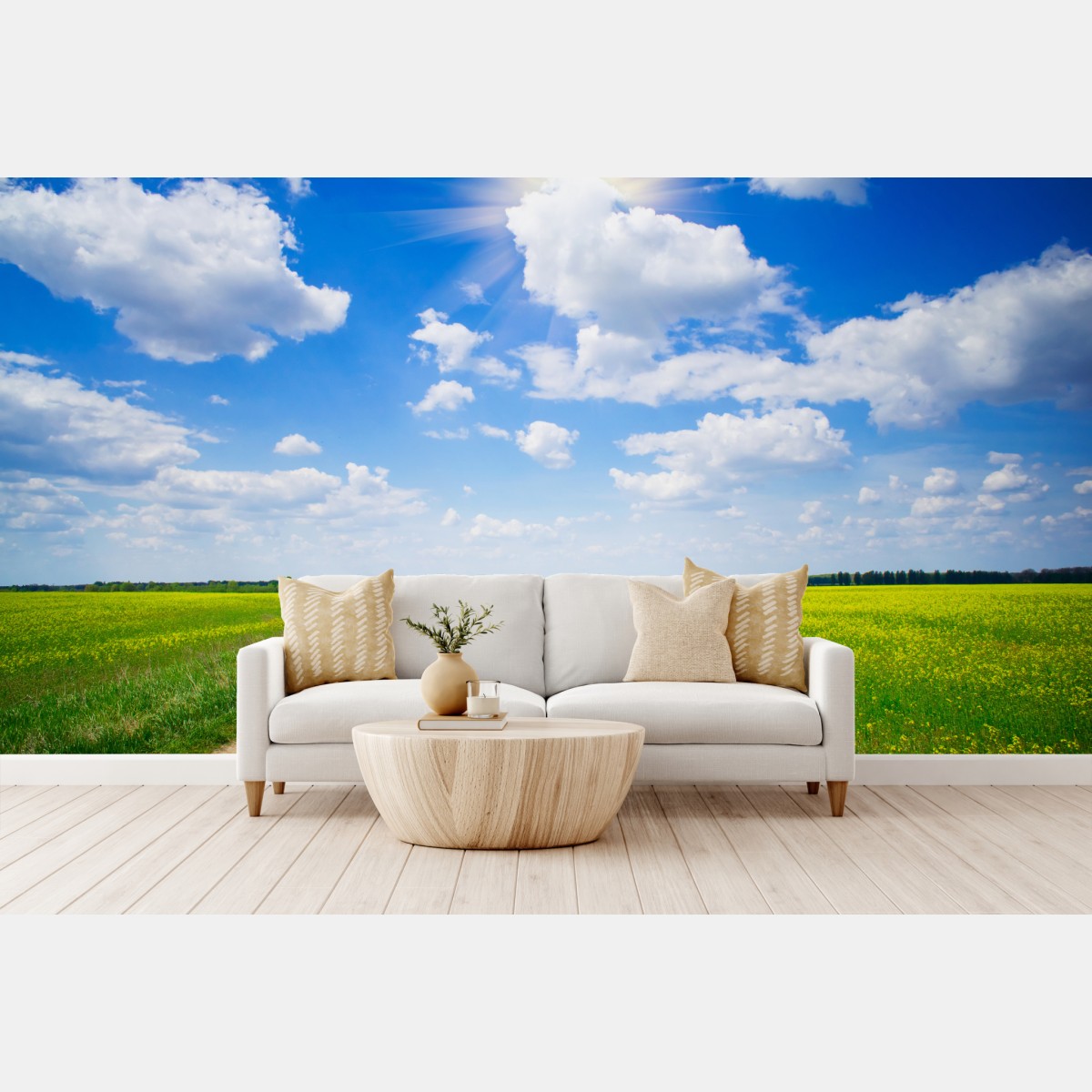 Fototapete gelbes rapsfeld unter blauem himmel – Wallnifity®