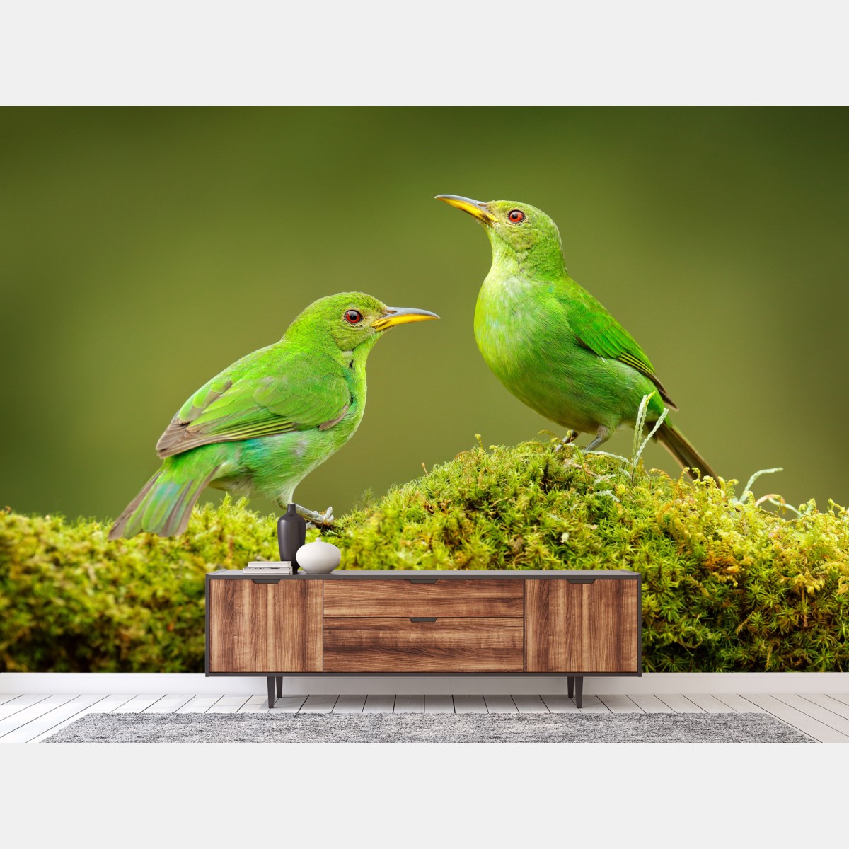 Fototapete lebendige grüne honigfresser auf moos – Wallnifity®
