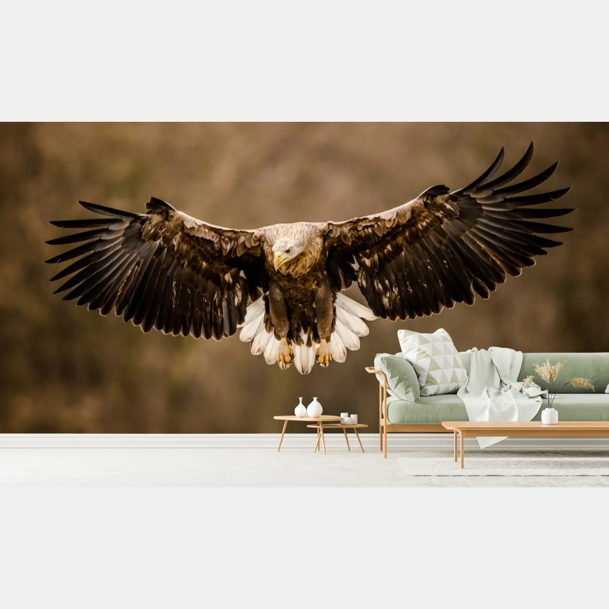 Fototapete majestätischer adler im flug – Wallnifity®