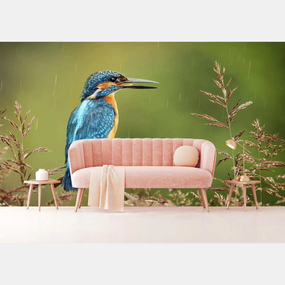 Fototapete lebhafter eisvogel im regen – Wallnifity®