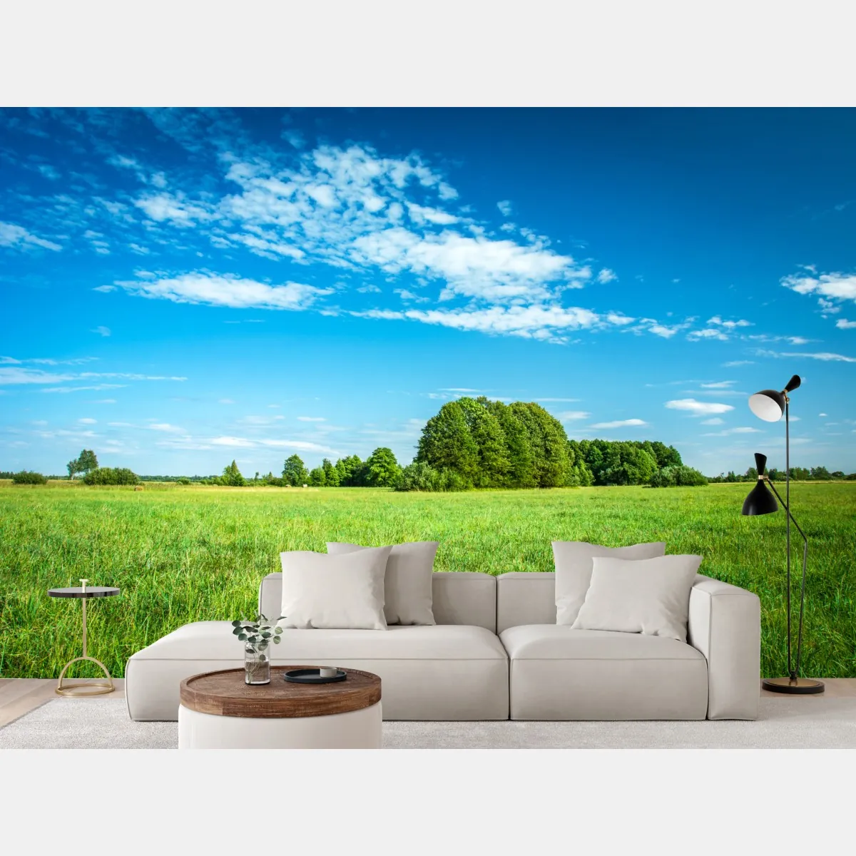 Fototapete sonnige grüne wiese unter blauem himmel – Wallnifity®
