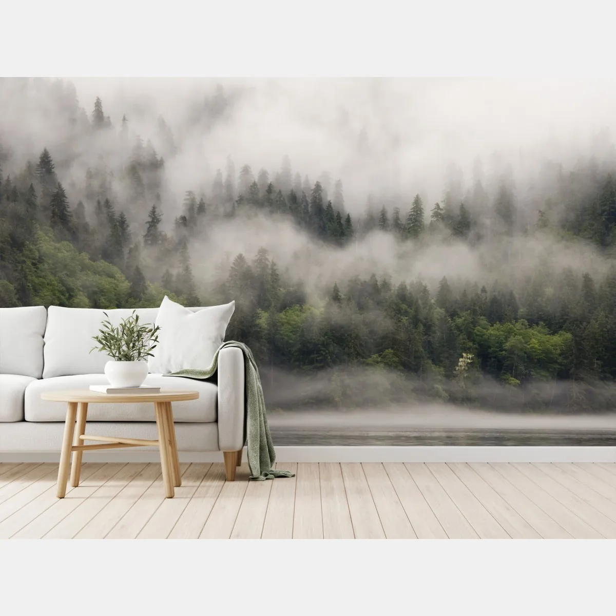 Fototapete nebliger küstenwald, British Columbia – Wallnifity®