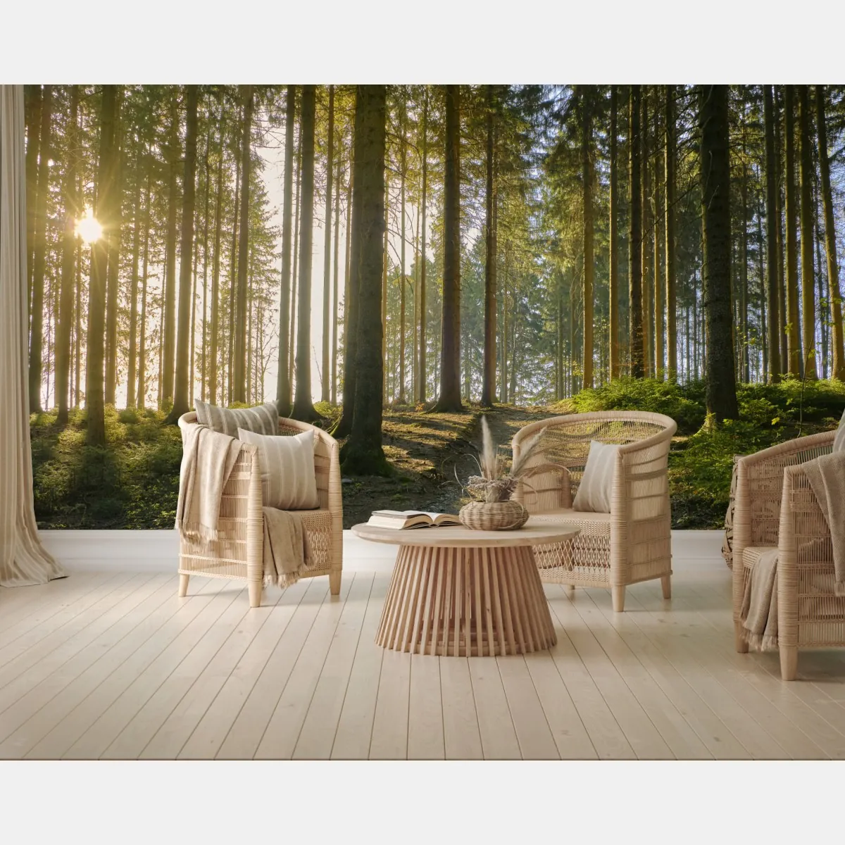 Fototapete sonniger waldweg im morgenlicht – Wallnifity®