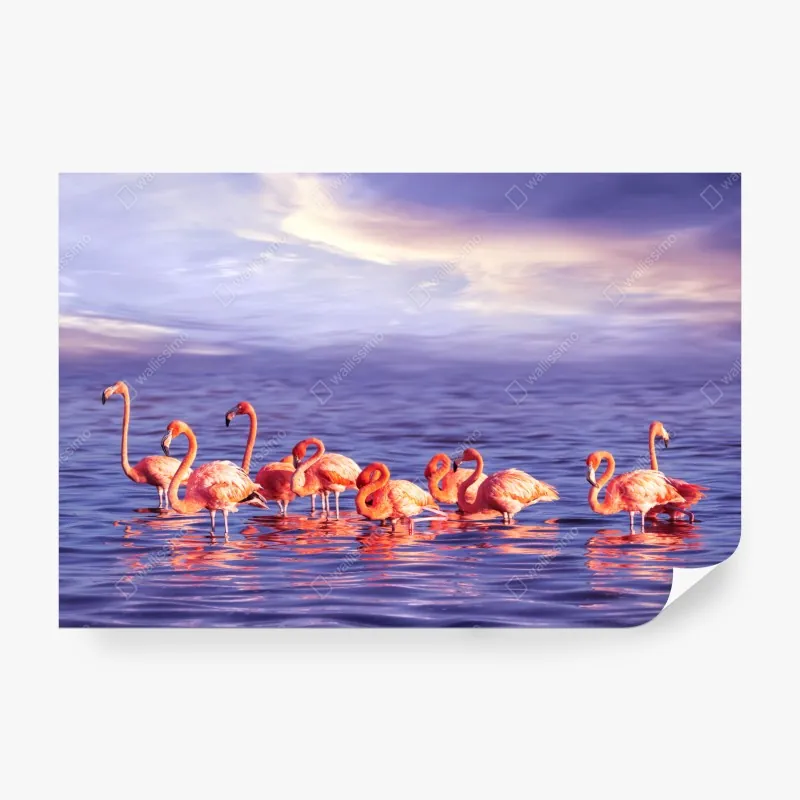 Fototapete rosa flamingos im violetten sonnenuntergang