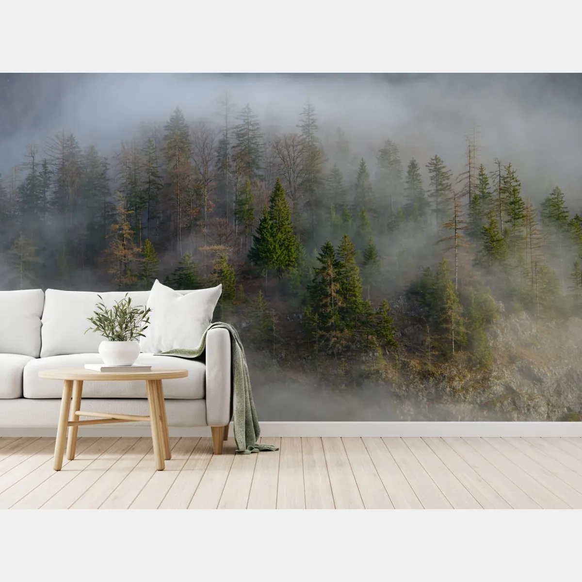 Fototapete nebliger bergwald – Wallnifity®