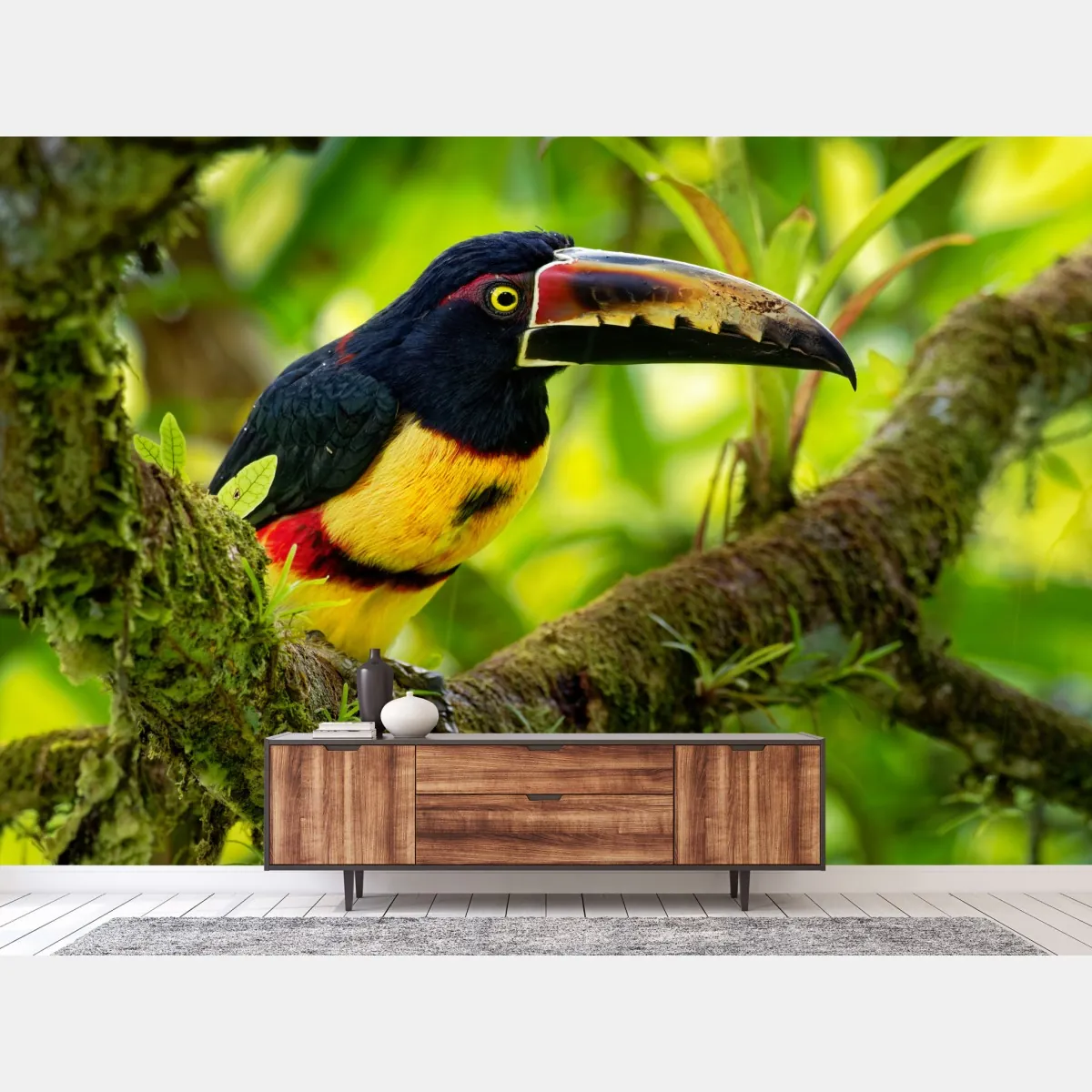 Fototapete leuchtender aracari-tukan im tropischen dschungel – Wallnifity®