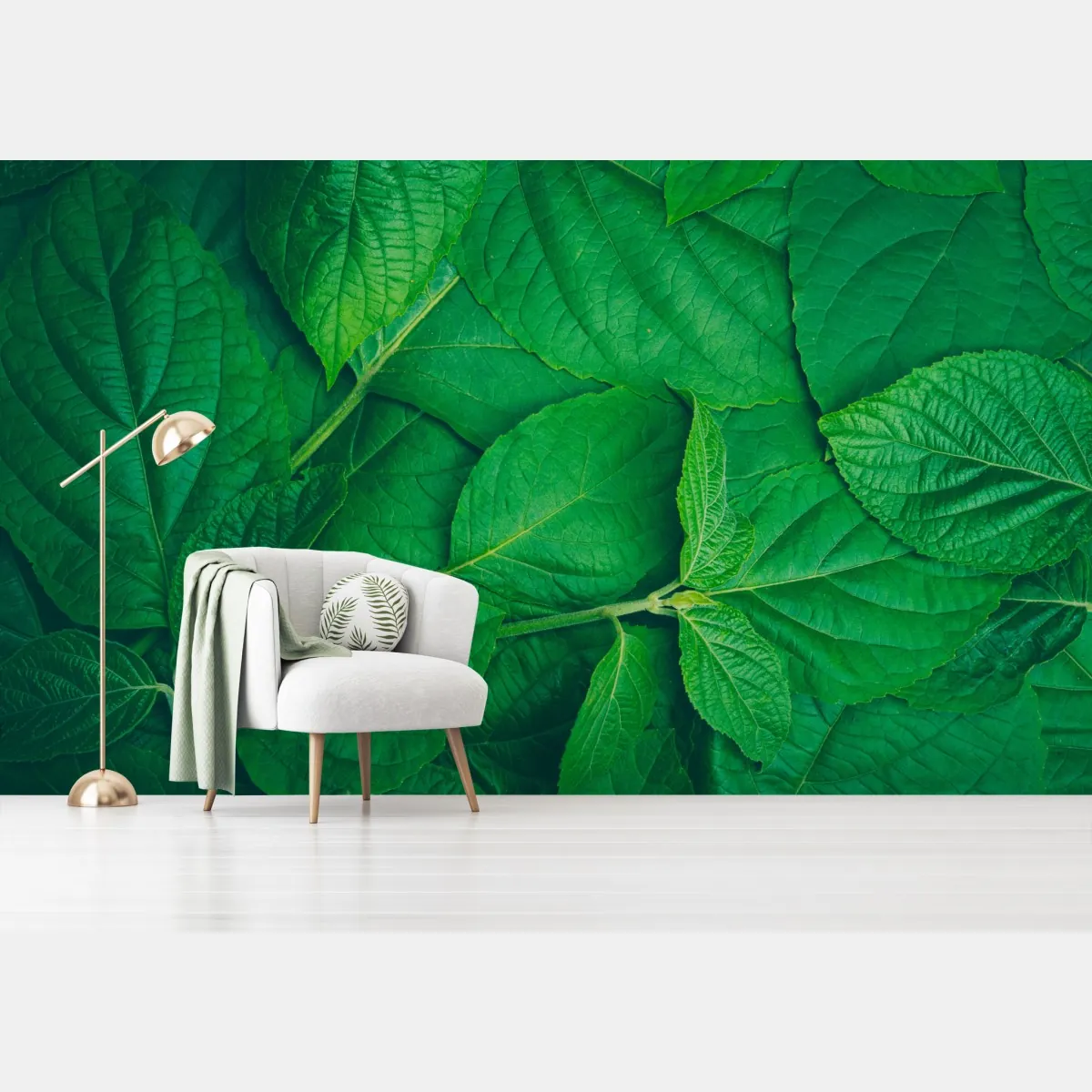 Fototapete saftige grüne blätter – Wallnifity®
