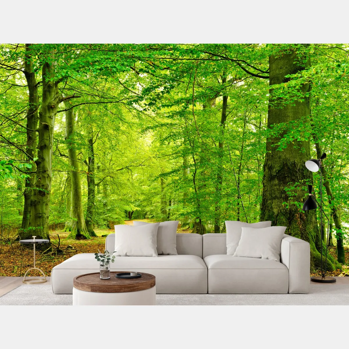 Fototapete ruhiger grüner waldpfad – Wallnifity®