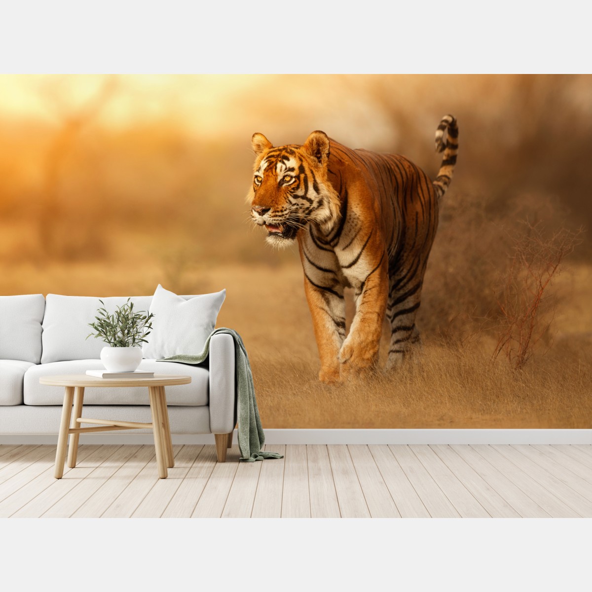 Fototapete majestätischer tiger im goldenen licht – Wallnifity®