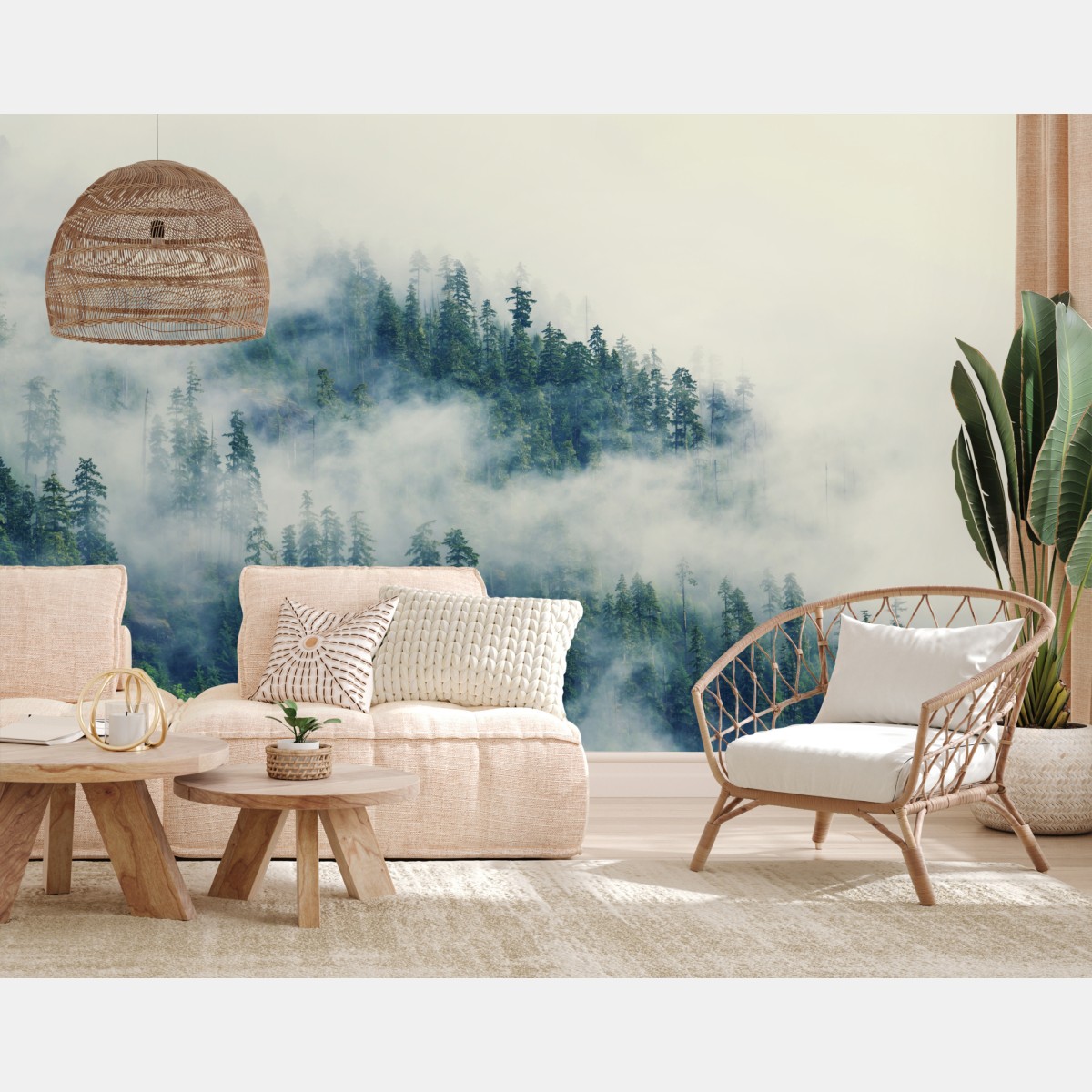 Fototapete nebliger nadelwald – Wallnifity®