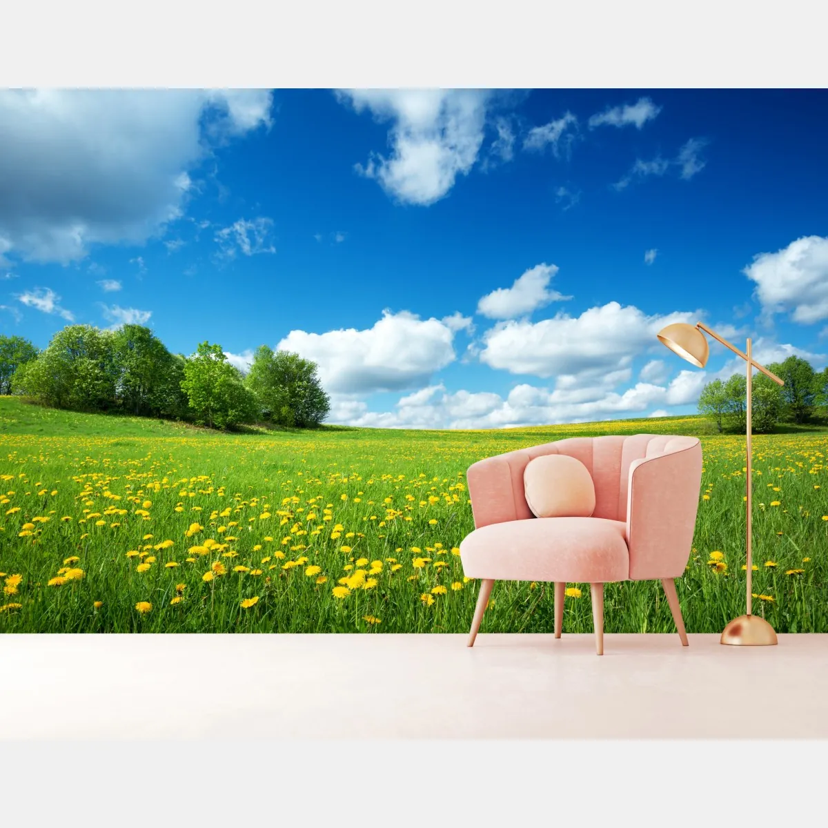 Fototapete sonnige wiese mit löwenzahn und blauem himmel – Wallnifity®
