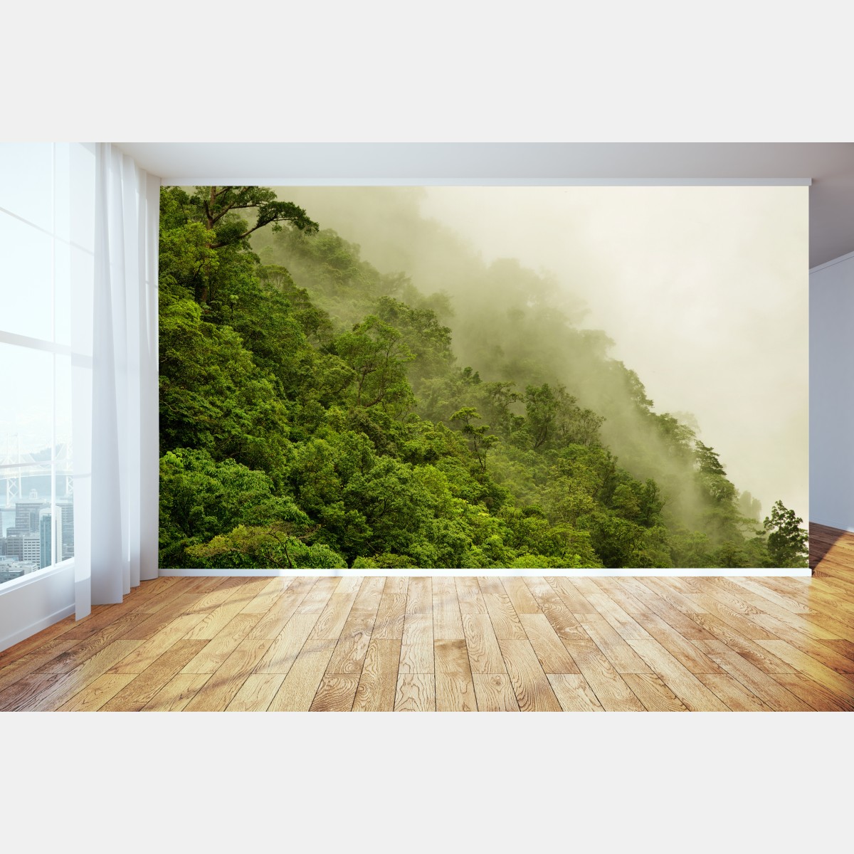 Fototapete nebeliger regenwald bei Cairns – Wallnifity®