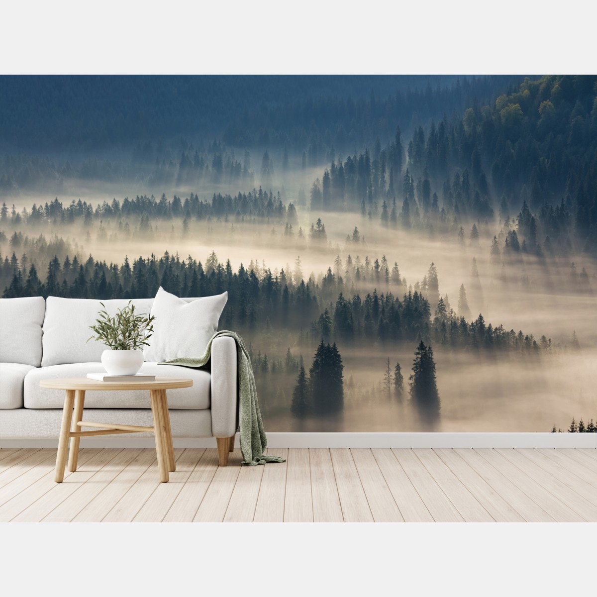 Fototapete nebliger nadelwald im morgengrauen – Wallnifity®