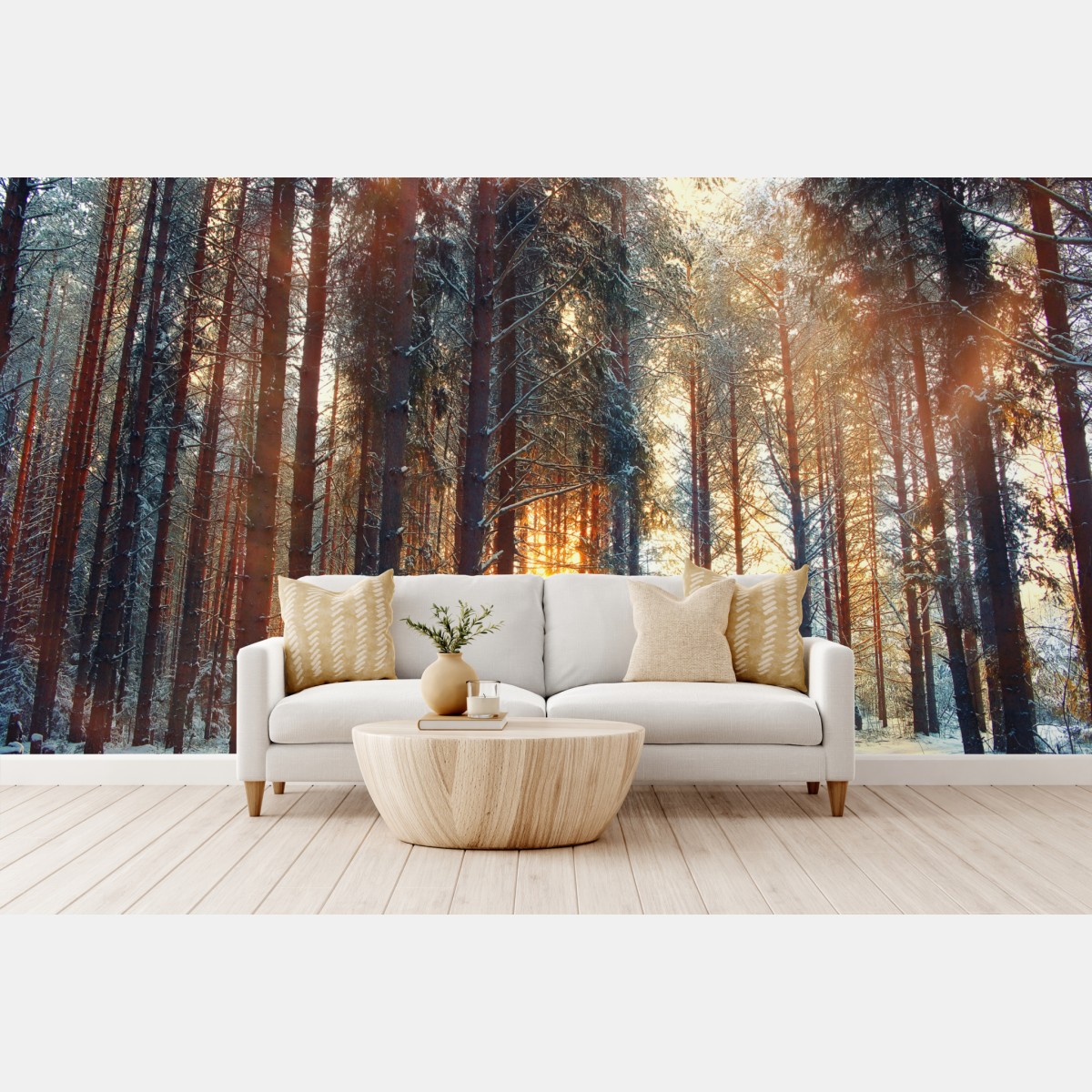 Fototapete winterwald im morgendlichen licht – Wallnifity®