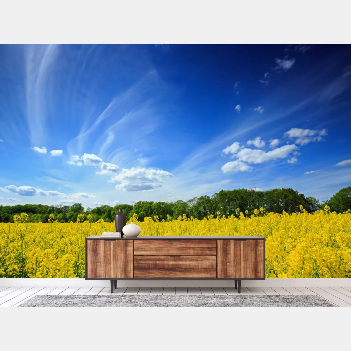 Fototapete polnisches rapsfeld unter blauem himmel – Wallnifity®
