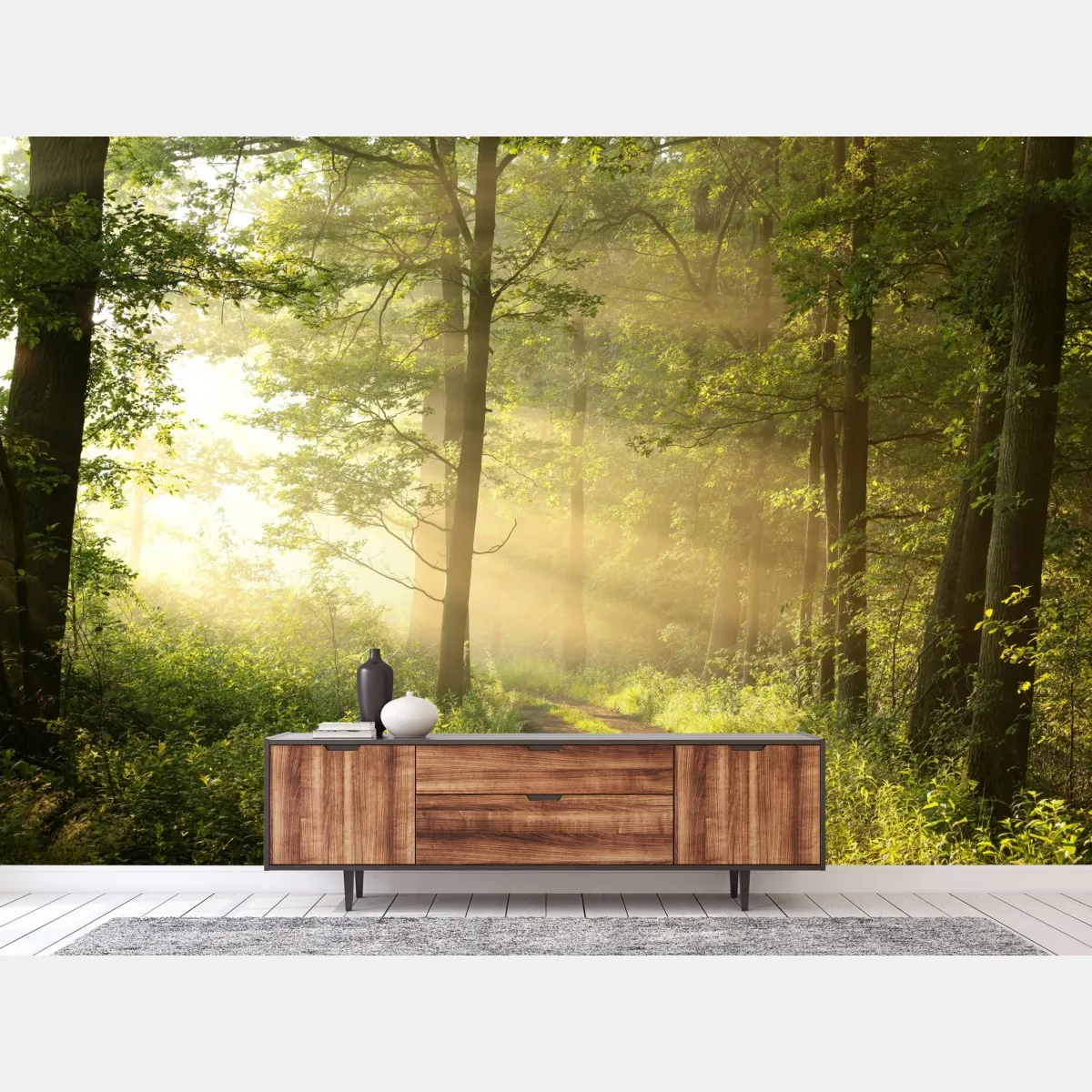 Fototapete morgendliches licht im wald – Wallnifity®