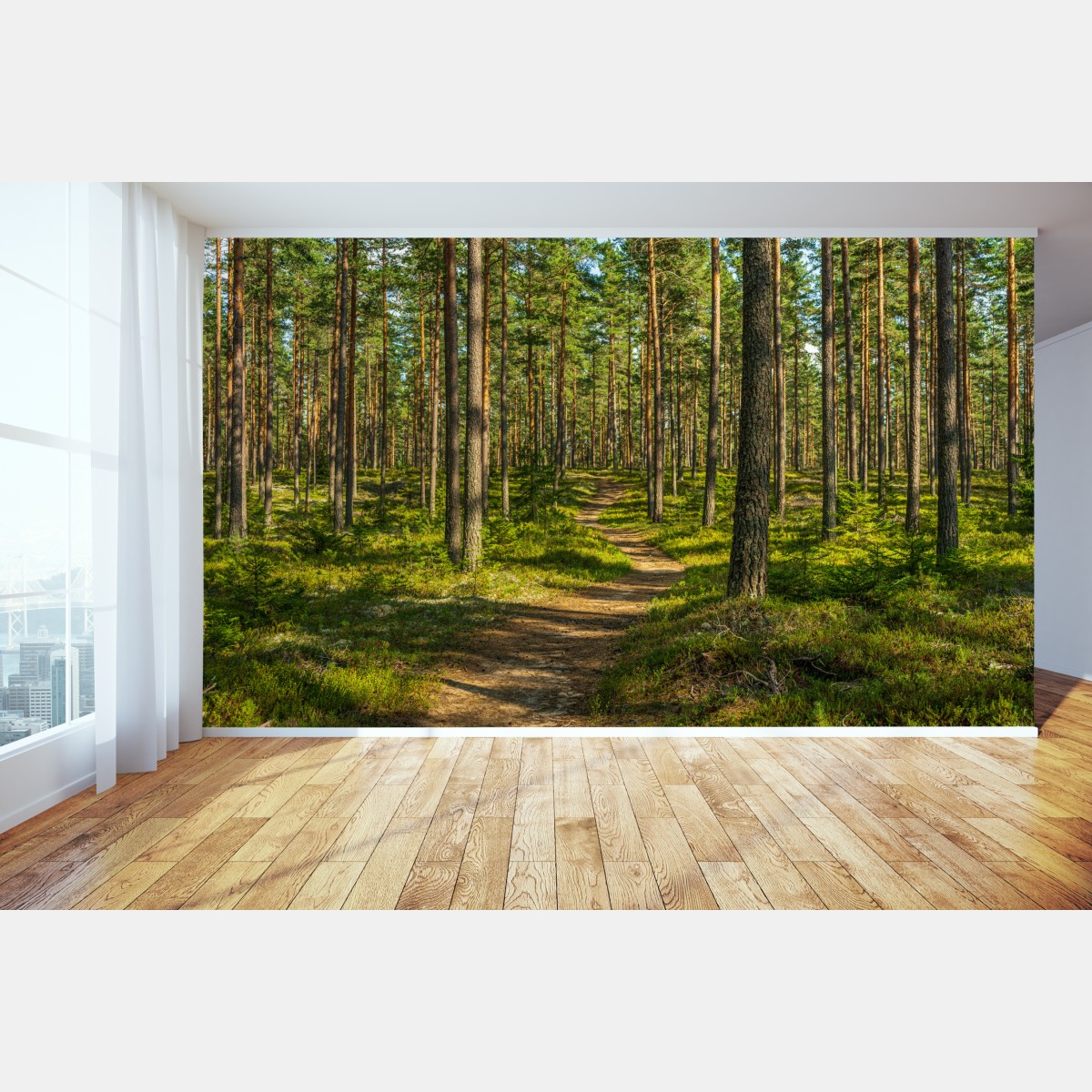 Fototapete sonniger kiefernwaldweg – Wallnifity®