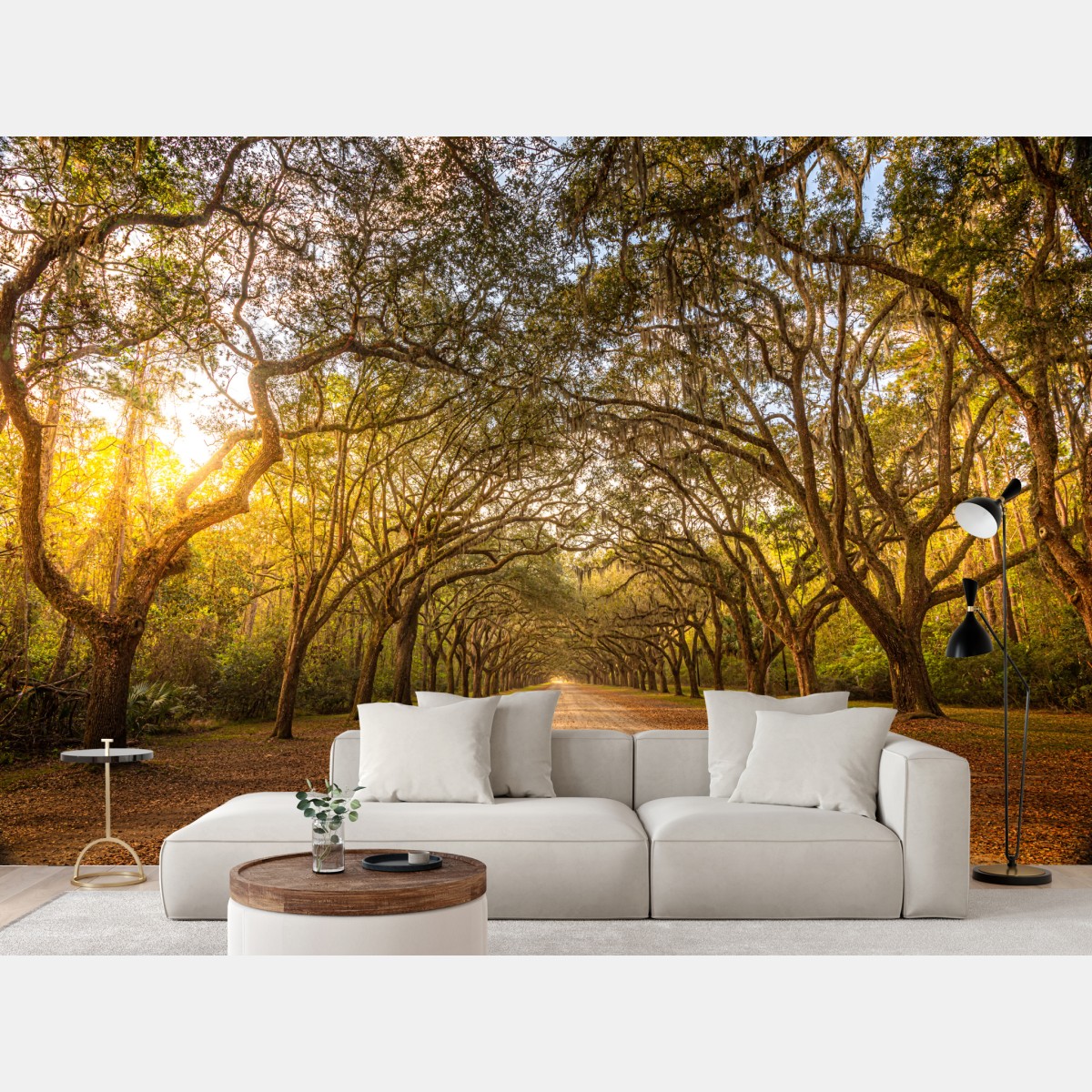 Fototapete sonnenbeschienene eichenallee bei Savannah – Wallnifity®