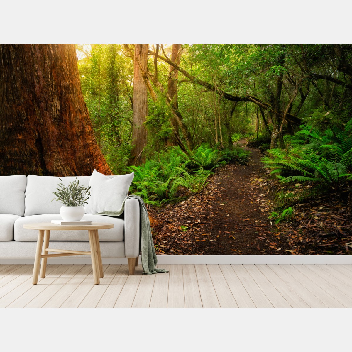 Fototapete urwaldpfad in Tasmanien – Wallnifity®