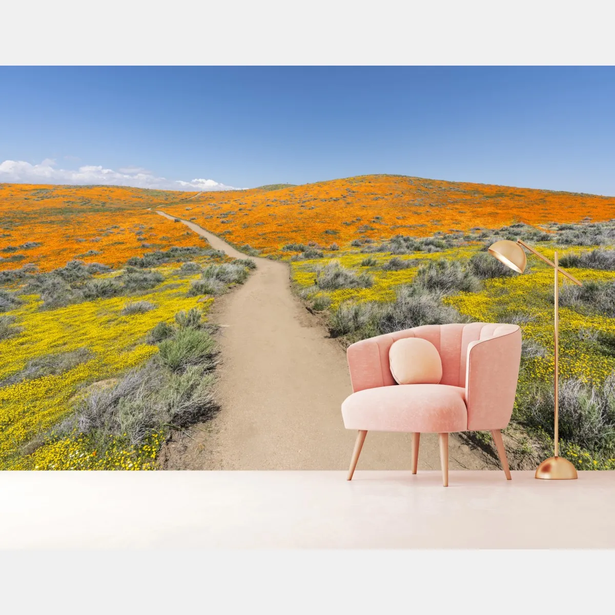 Fototapete pfad durch den mohn-superbloom in Südkalifornien – Wallnifity®