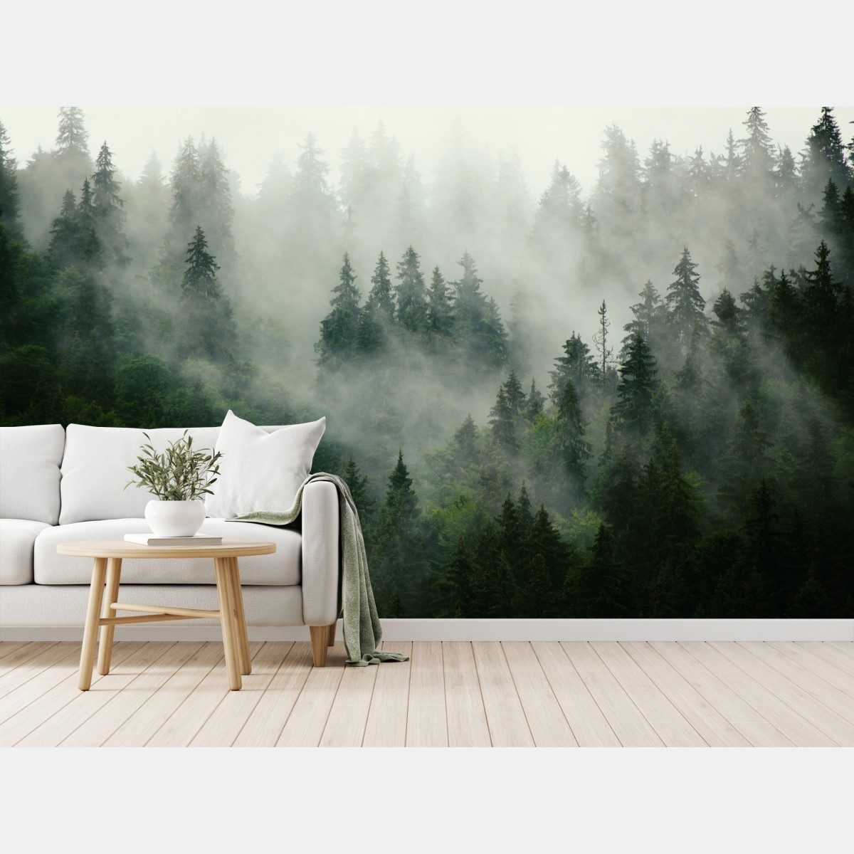Fototapete nebliger nadelwald – Wallnifity®