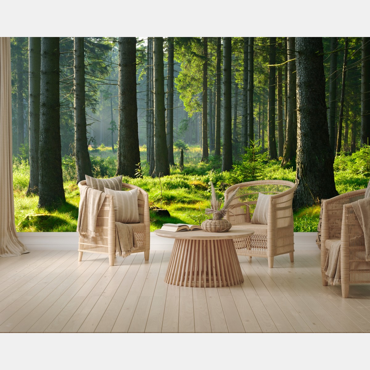 Fototapete sonnige grüne lichtung im wald – Wallnifity®