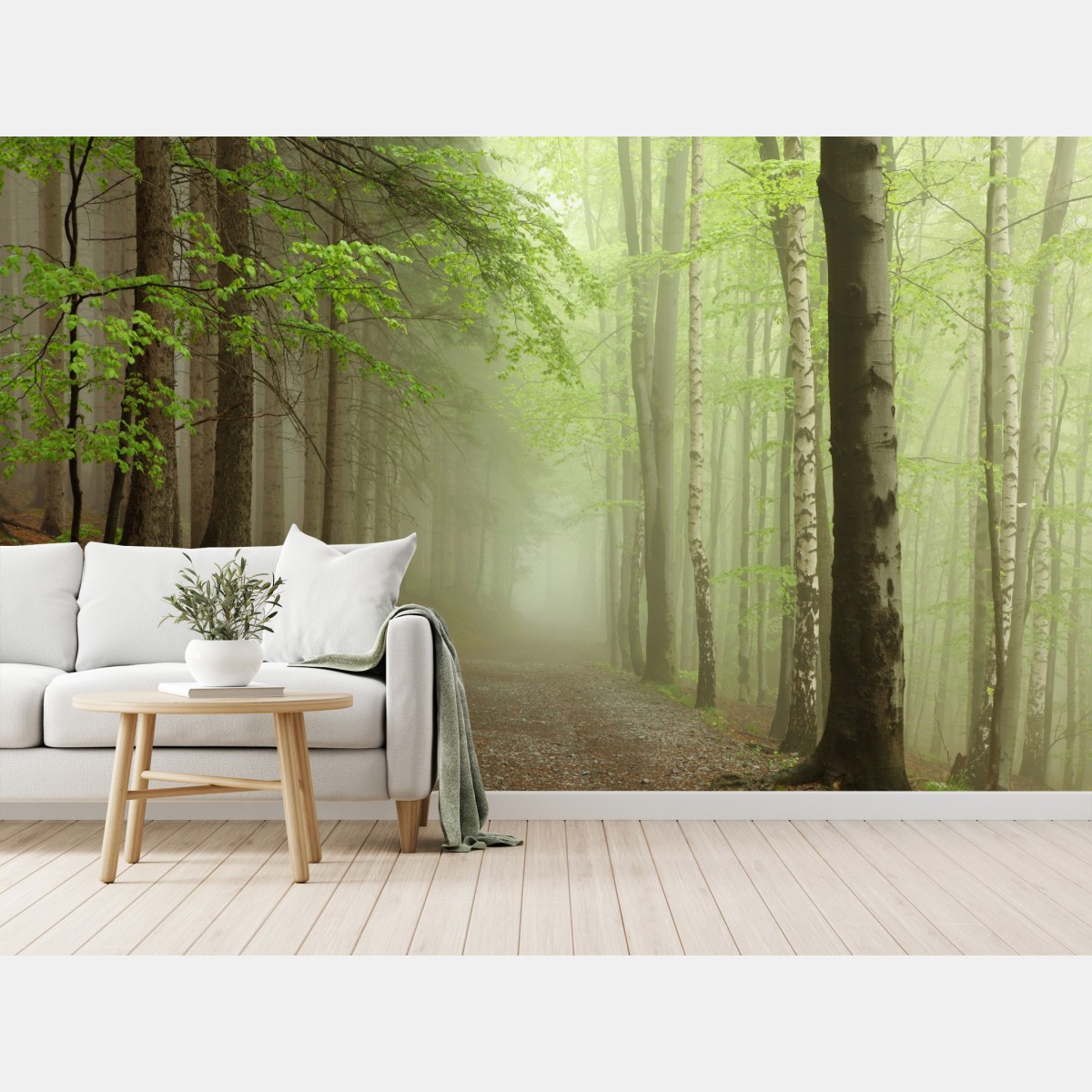 Fototapete nebliger waldpfad – Wallnifity®
