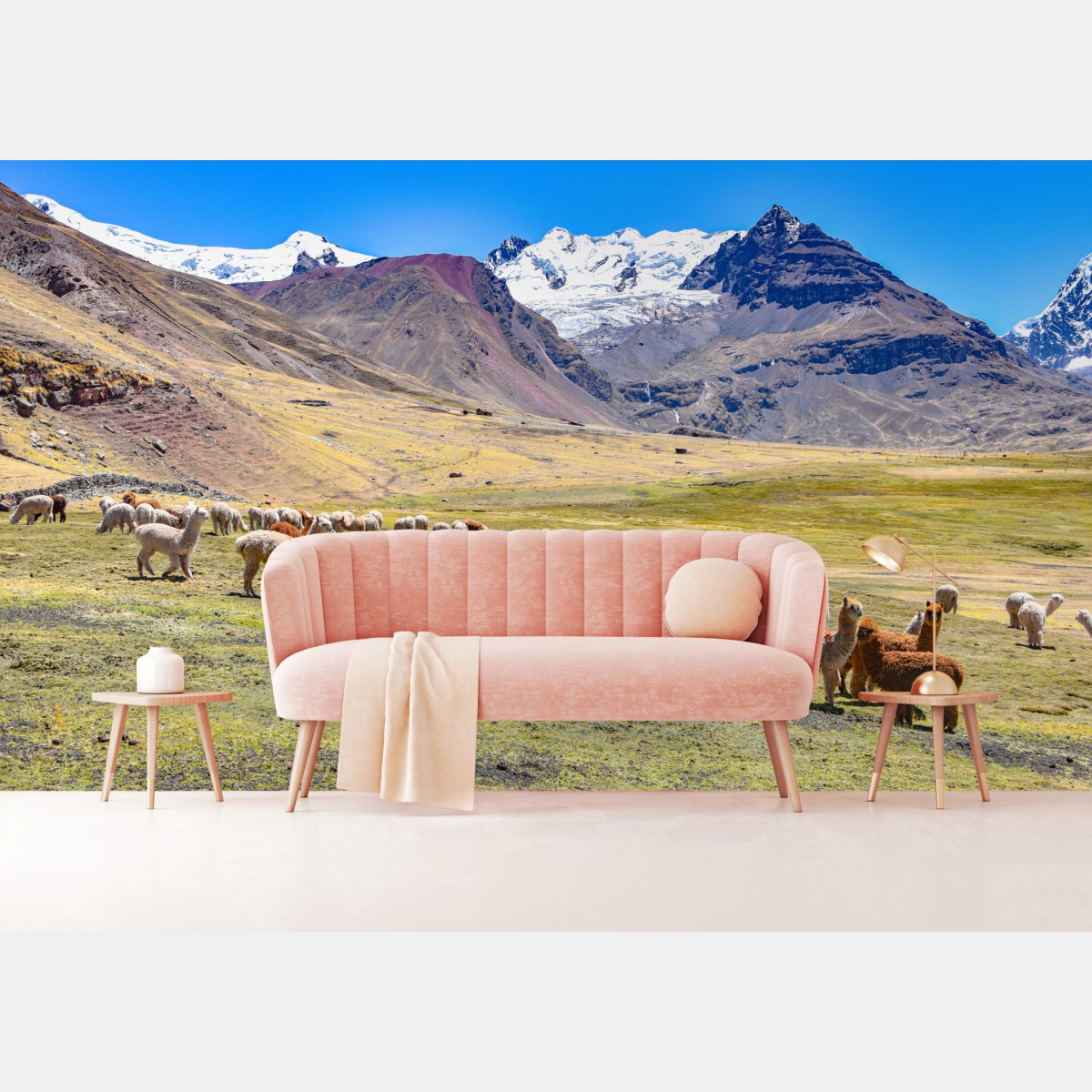Fototapete alpakas und lamas weiden bei Mt Ausangate, Cusco – Wallnifity®