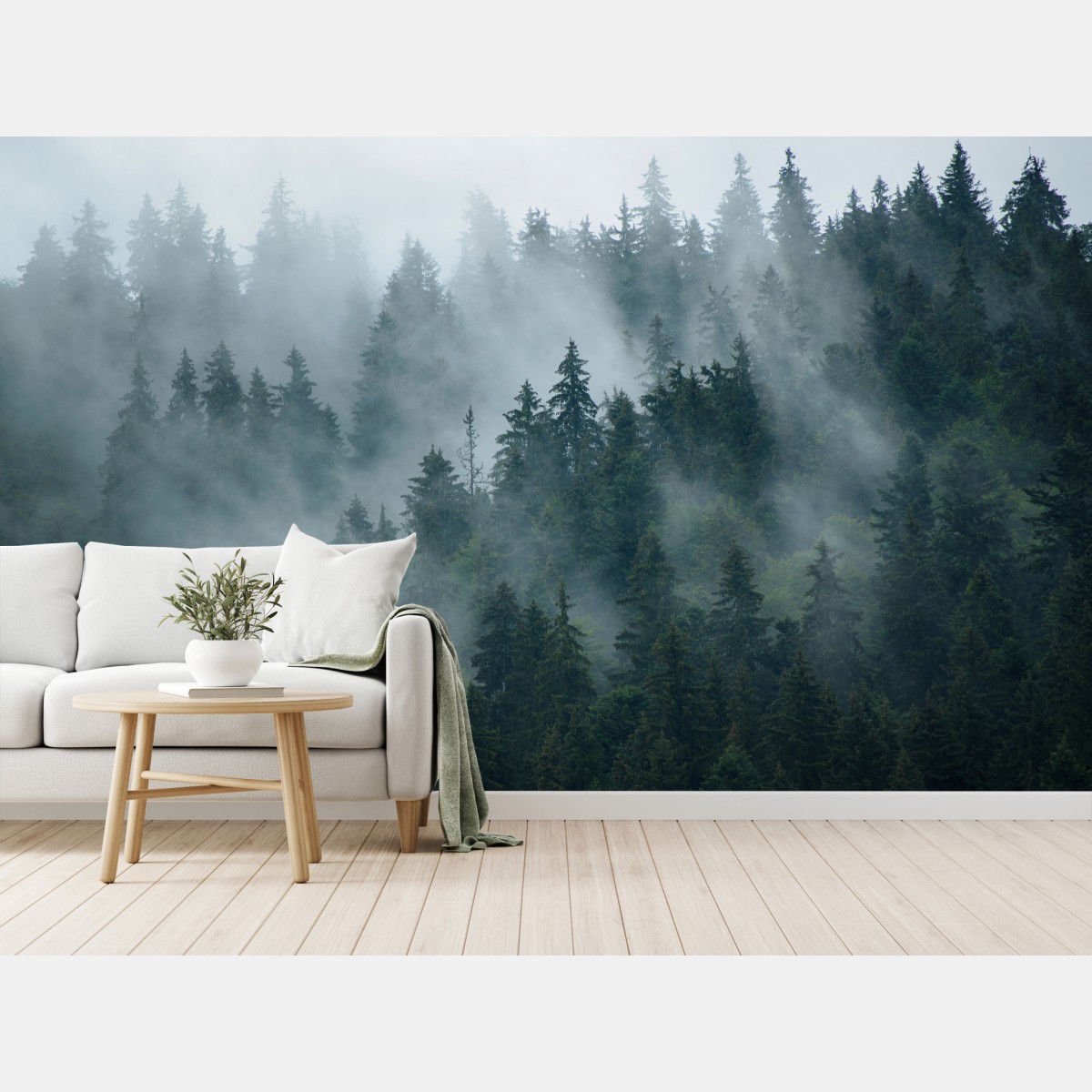 Fototapete nebeliger immergrüner wald – Wallnifity®
