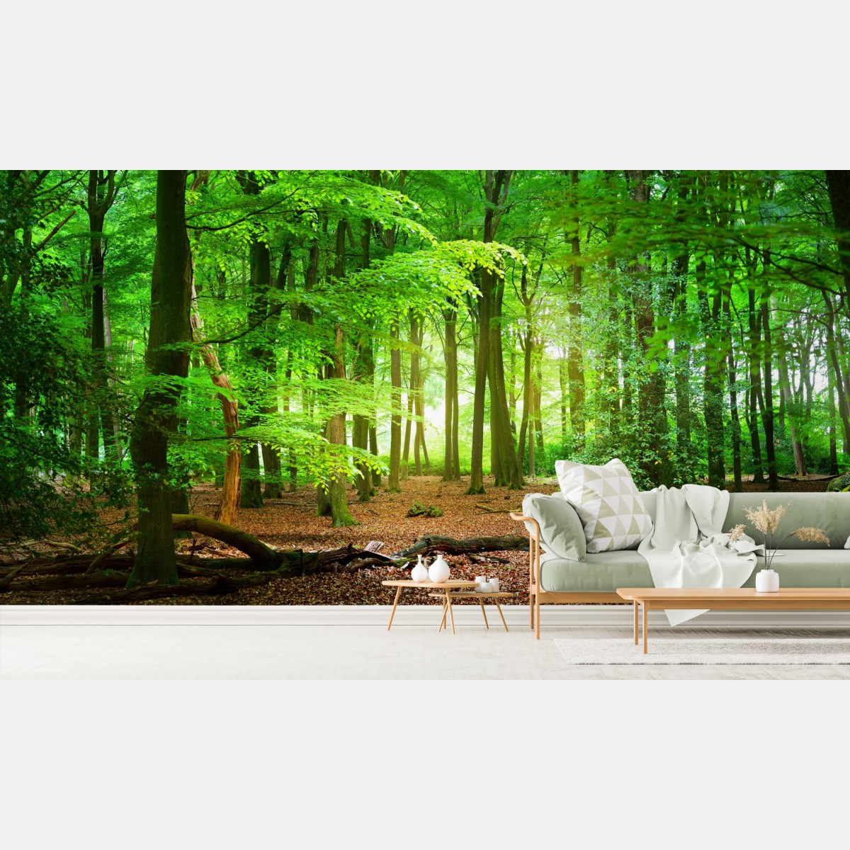 Fototapete sonnendurchfluteter grüner wald – Wallnifity®