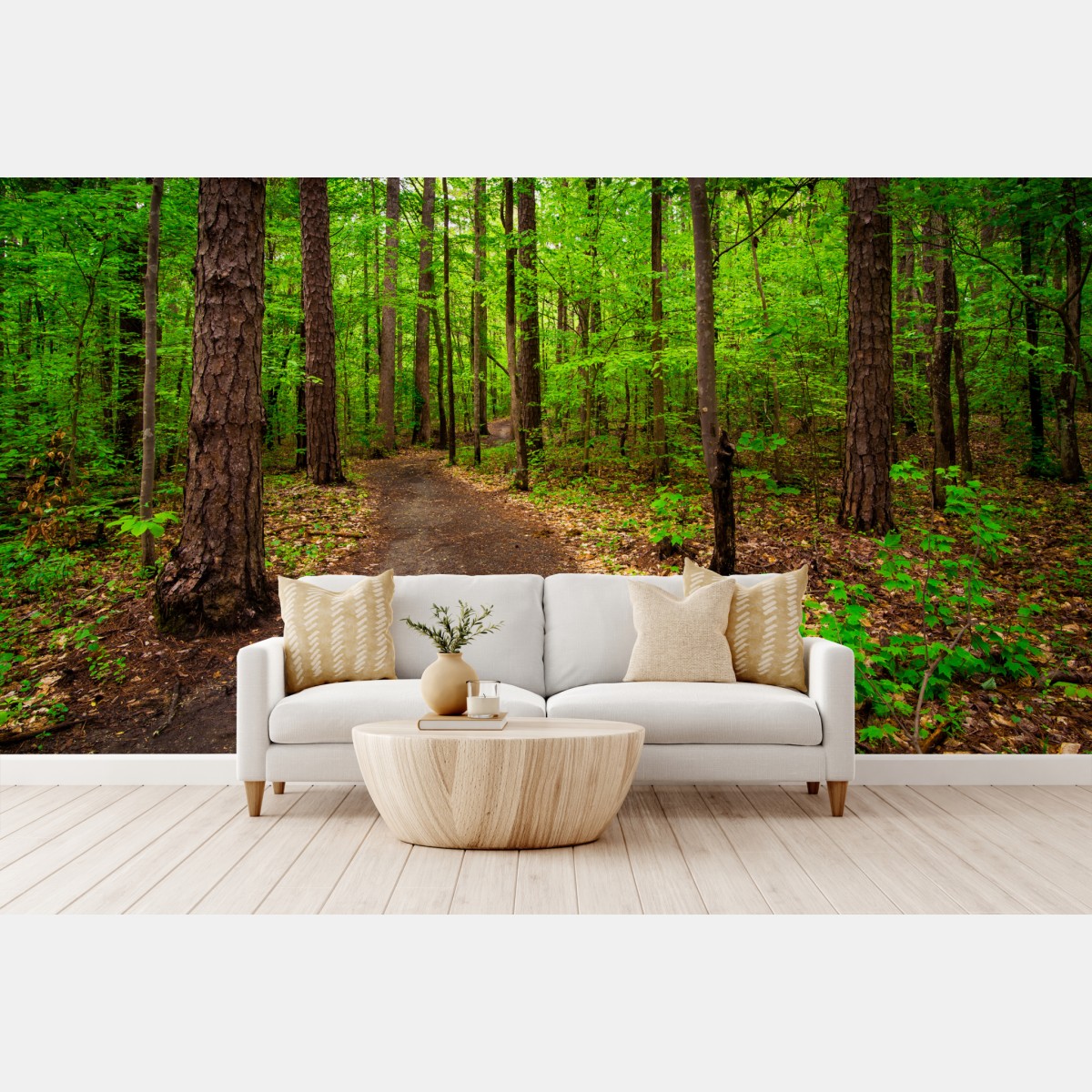 Fototapete ruhiger grüner waldpfad – Wallnifity®