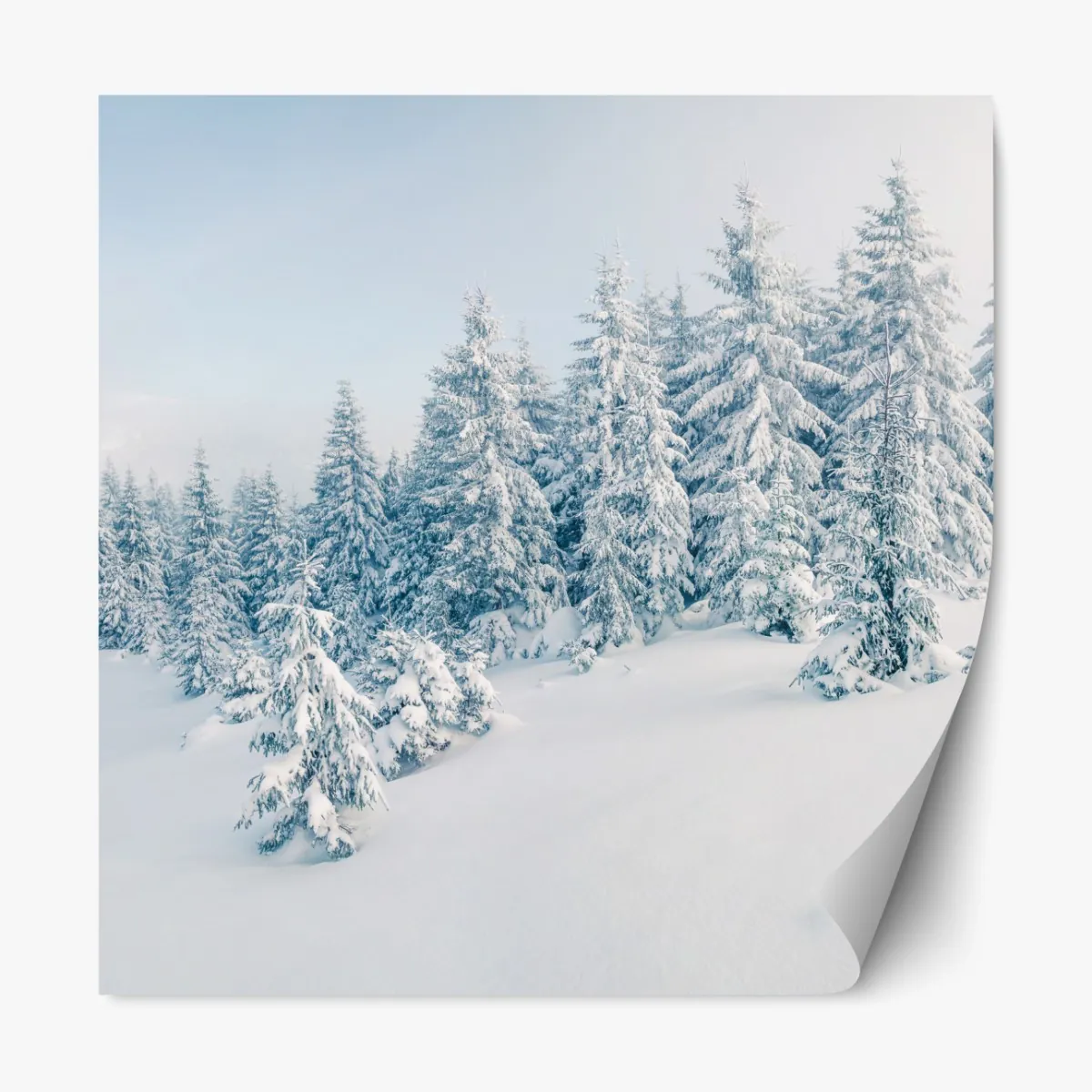 Repositionierbarer Aufkleber winterliche waldpanorama mit schneebedeckten fichten – Wallnifity®