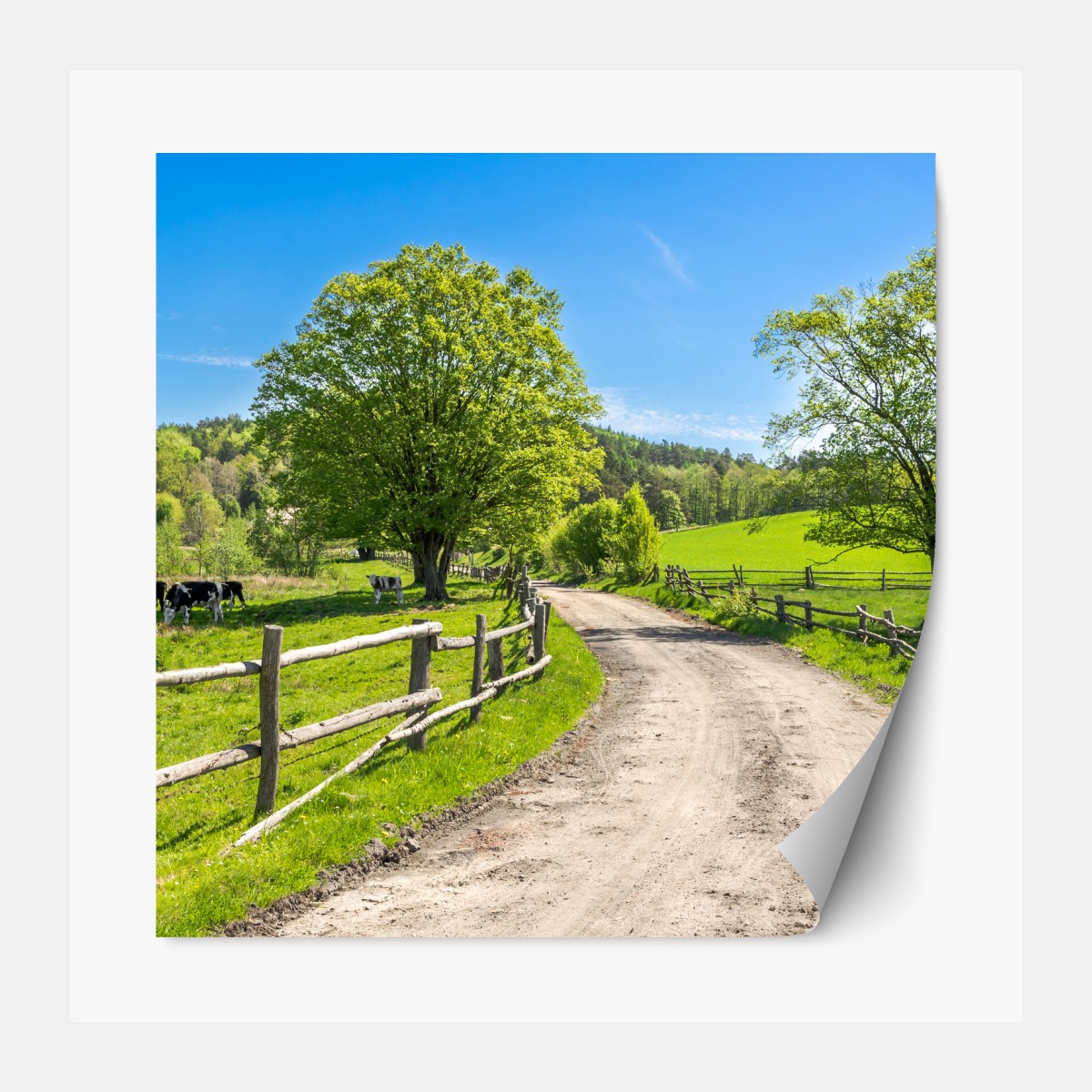 Repositionierbarer Aufkleber sonnige landstraße durch grüne wiesen – Wallnifity®