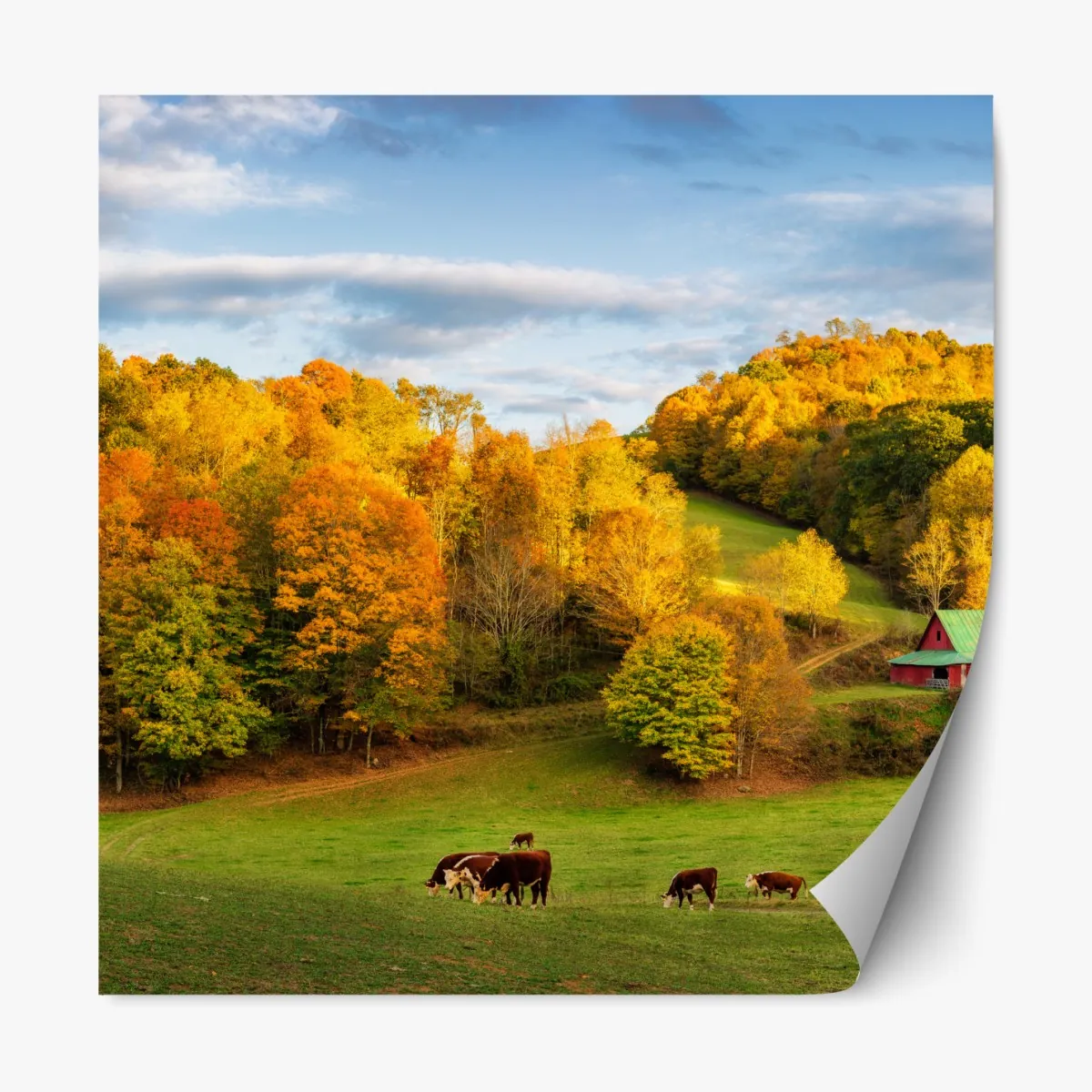 Repositionierbarer Aufkleber herbstliche landschaft mit roter scheune – Wallnifity®