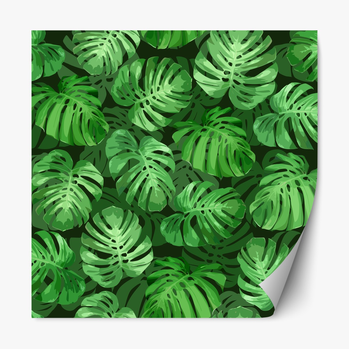 Repositionierbarer Aufkleber tropisches monstera-blattmuster – Wallnifity®