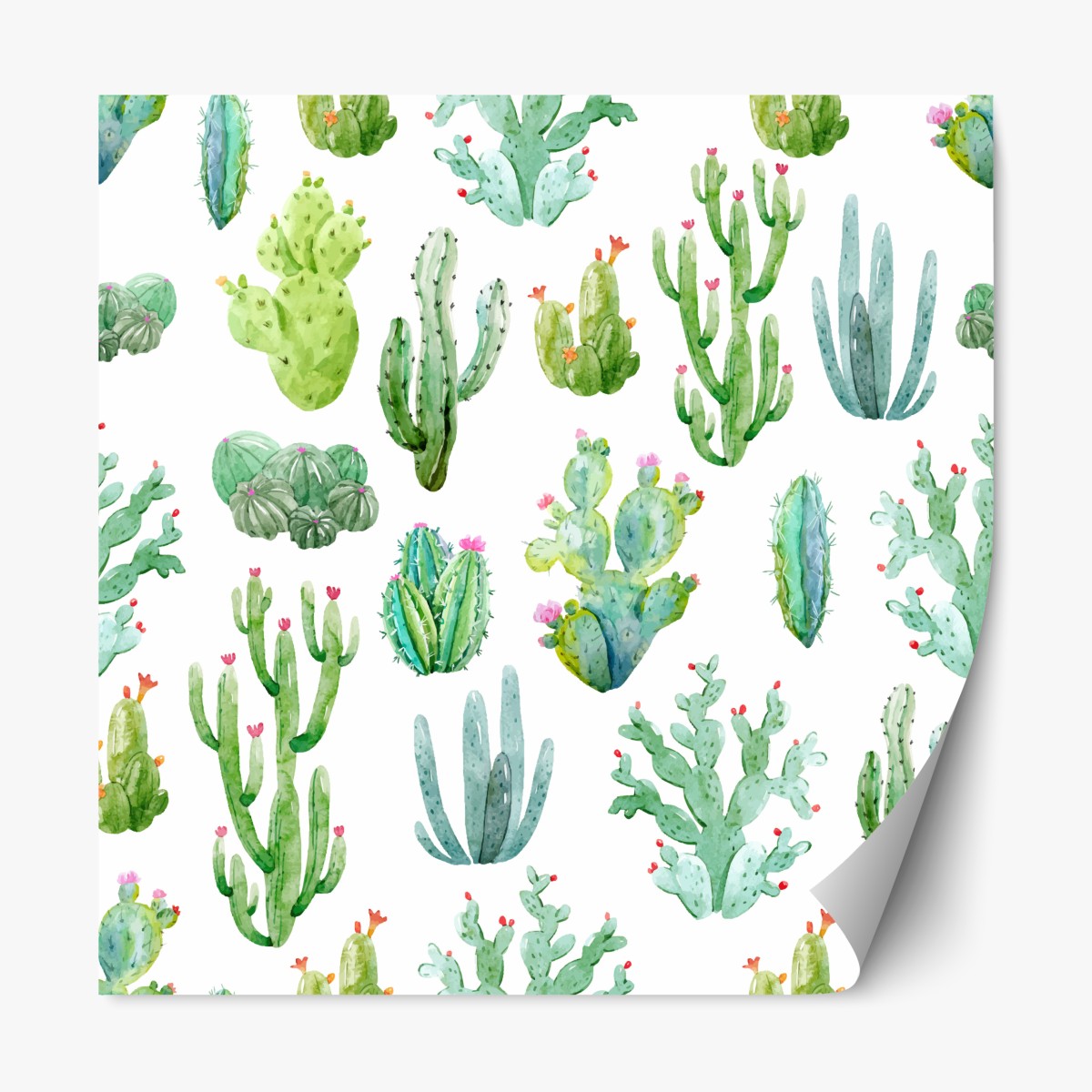 Repositionierbarer Aufkleber aquarell kaktusgarten muster – Wallnifity®