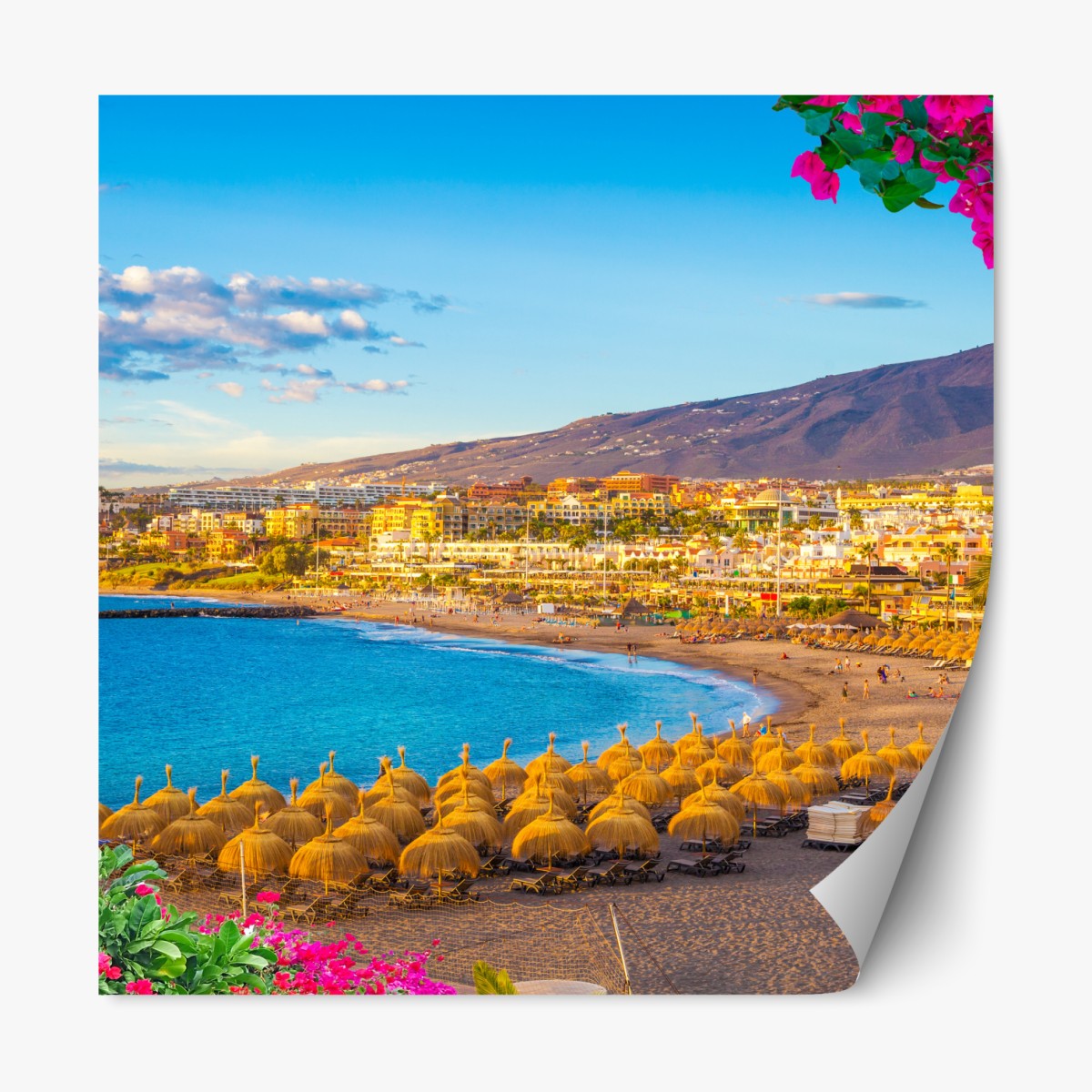 Repositionierbarer Aufkleber sonniger strand Torviscas, Teneriffa – Wallnifity®