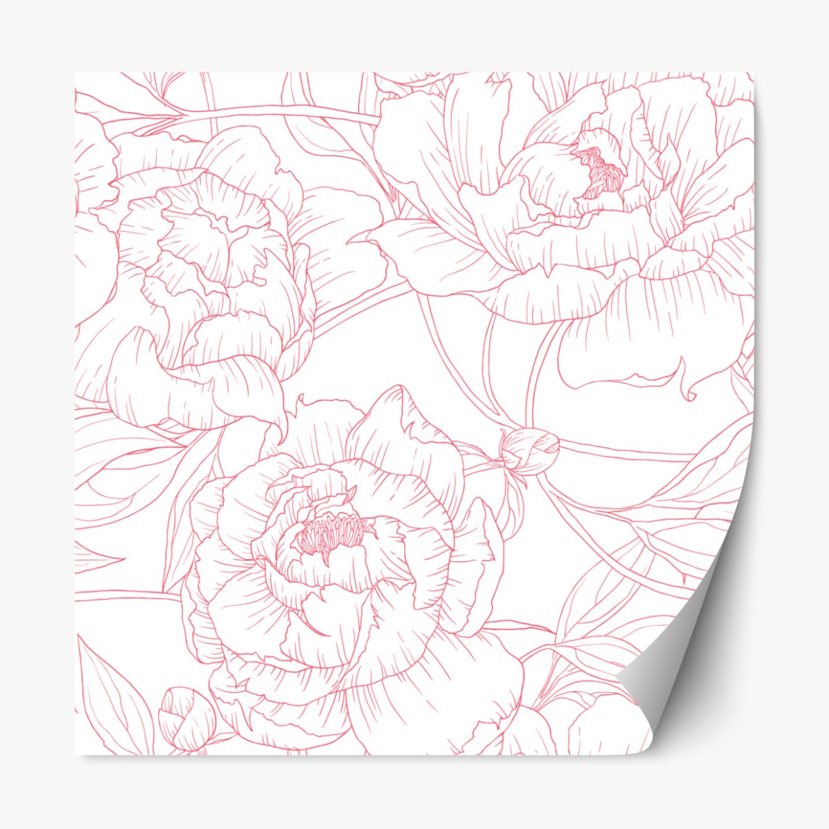 Repositionierbarer Aufkleber zartes rosa paeonien-line-art-muster – Wallnifity®