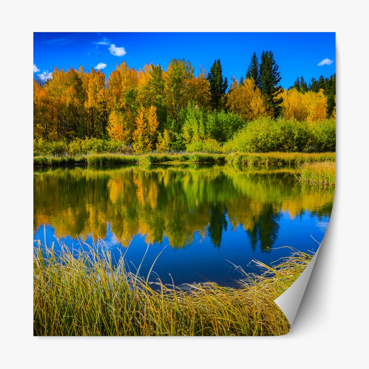 Repositionierbarer Aufkleber herbstbäume spiegeln sich in einem ruhigen see – Wallnifity®