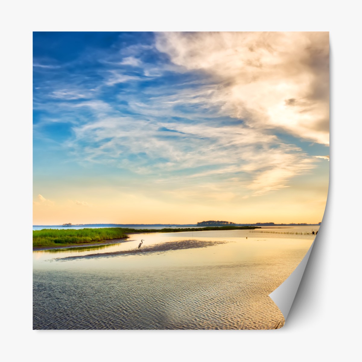 Repositionierbarer Aufkleber graureiher in der Chesapeake-Bucht bei sonnenuntergang – Wallnifity®