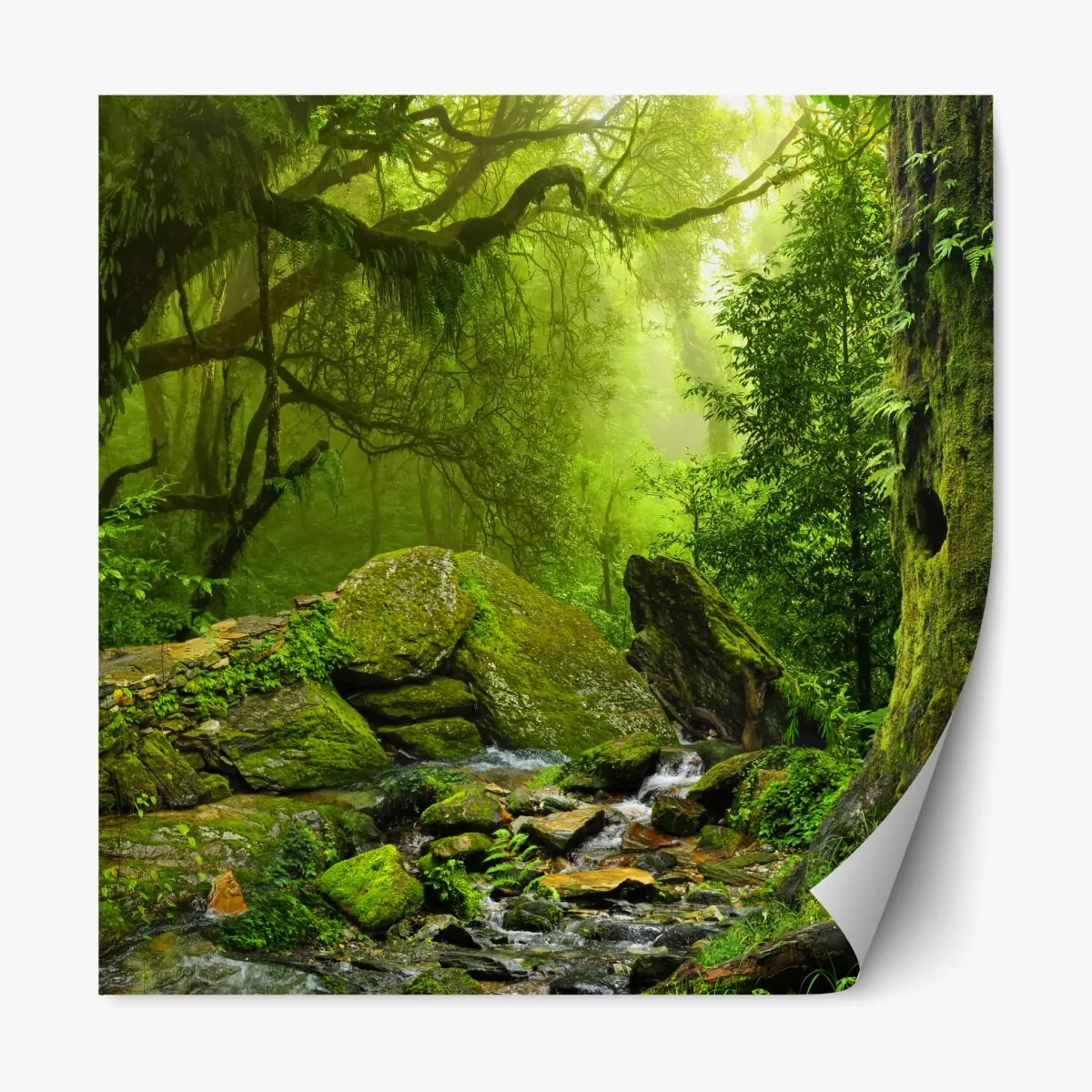 Repositionierbarer Aufkleber moosbedeckter waldbach – Wallnifity®