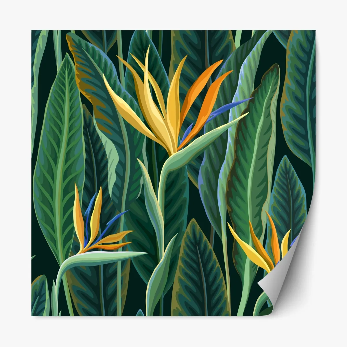 Repositionierbarer Aufkleber tropische illustration mit strelitzie und üppigen blättern – Wallnifity®
