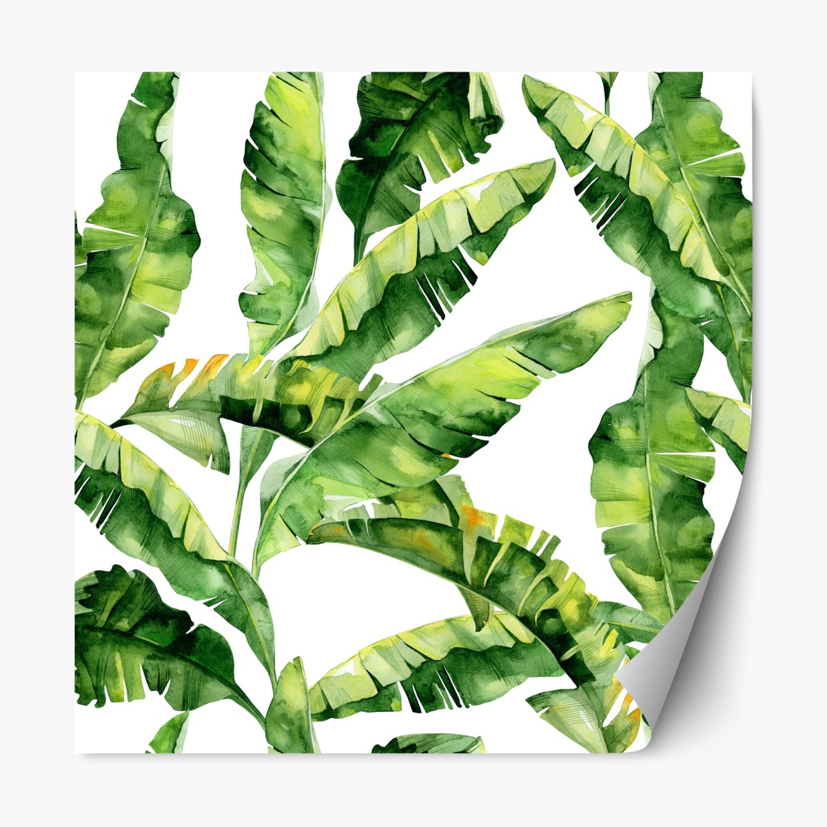 Repositionierbarer Aufkleber tropisches bananenblatt aquarellmuster – Wallnifity®